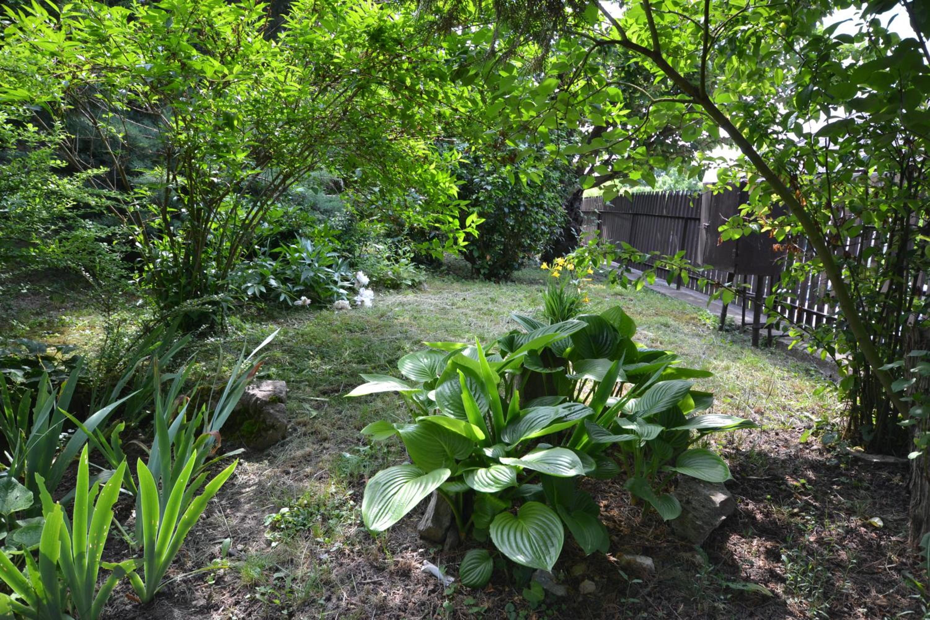 Photo 45