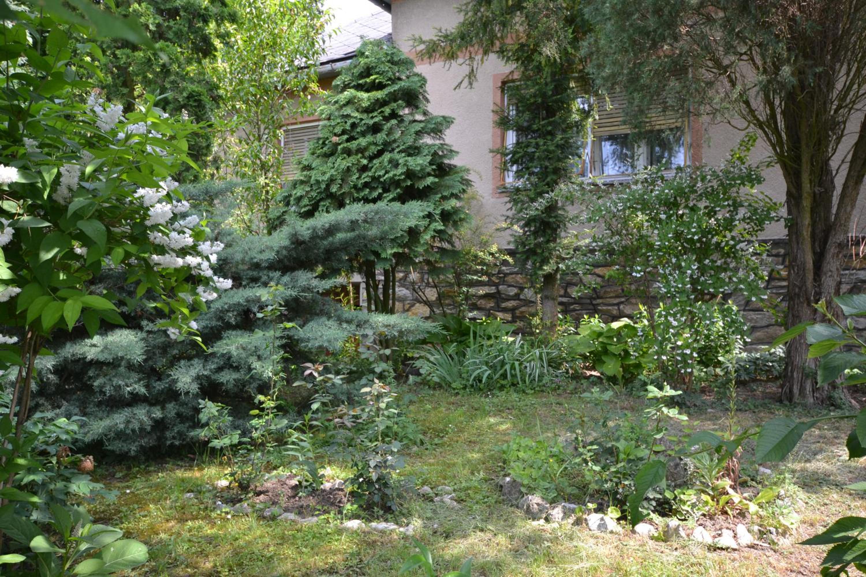 Photo 44