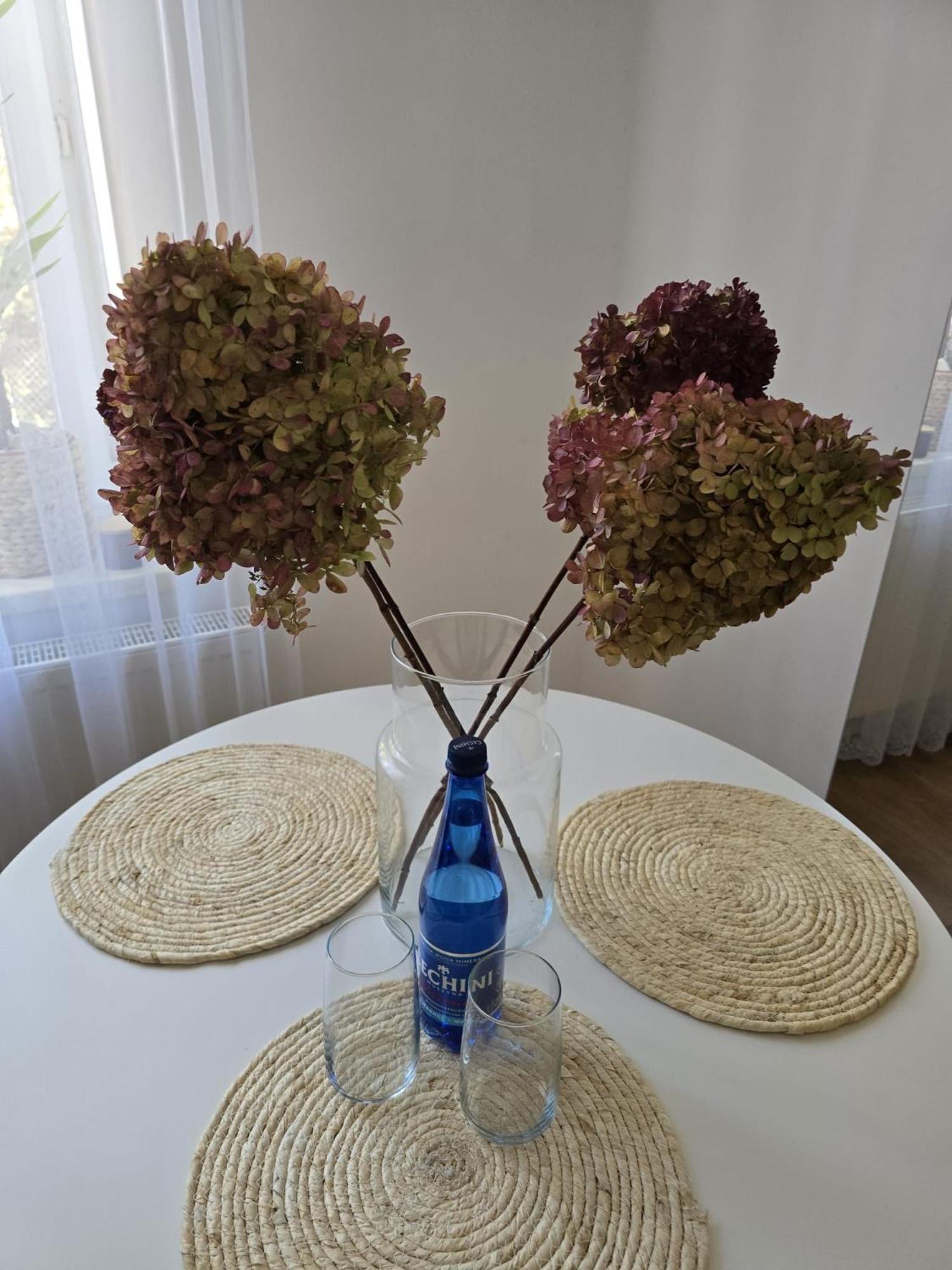Apartamenty CAPPUCCINO