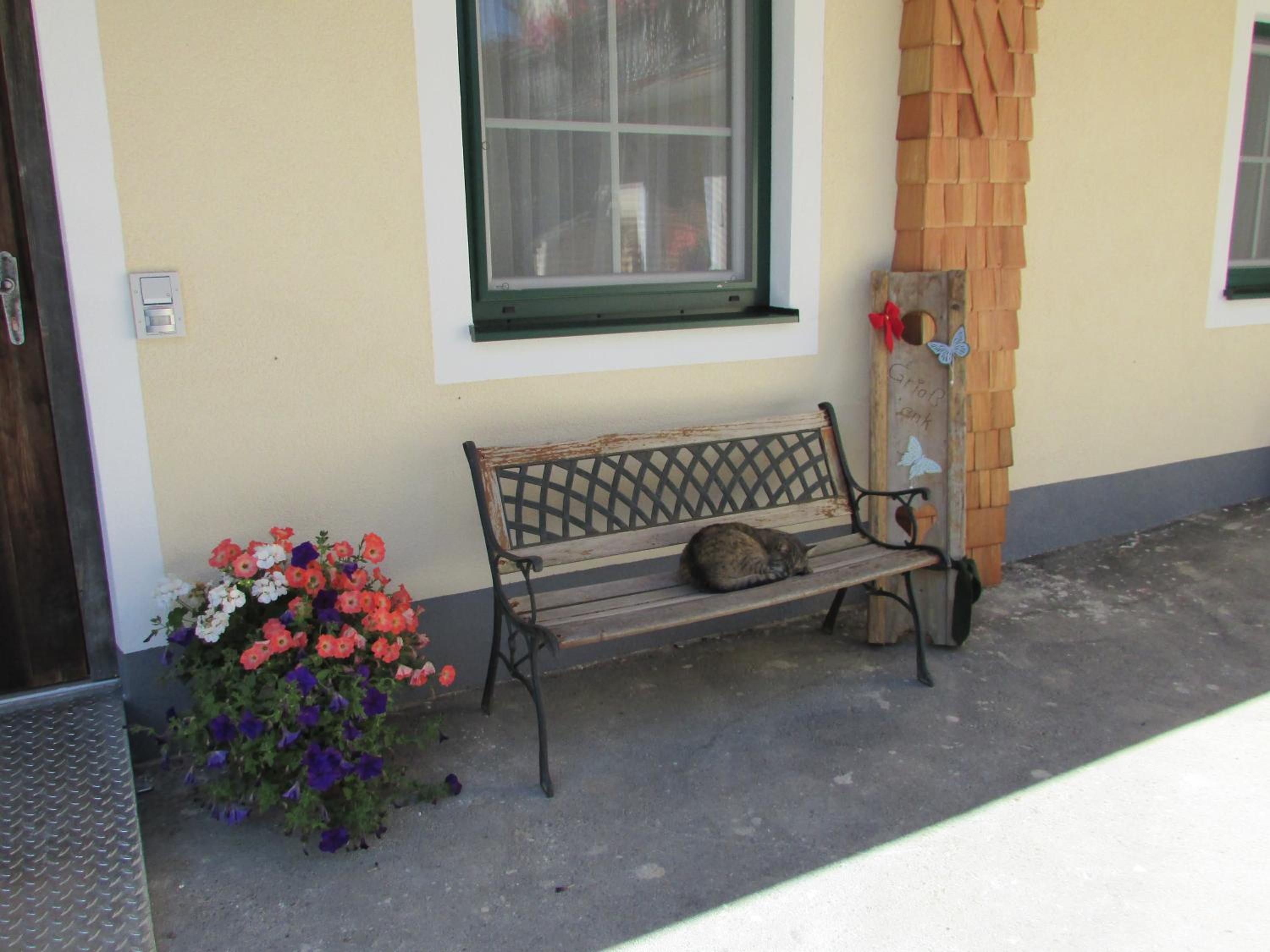 Photo 48