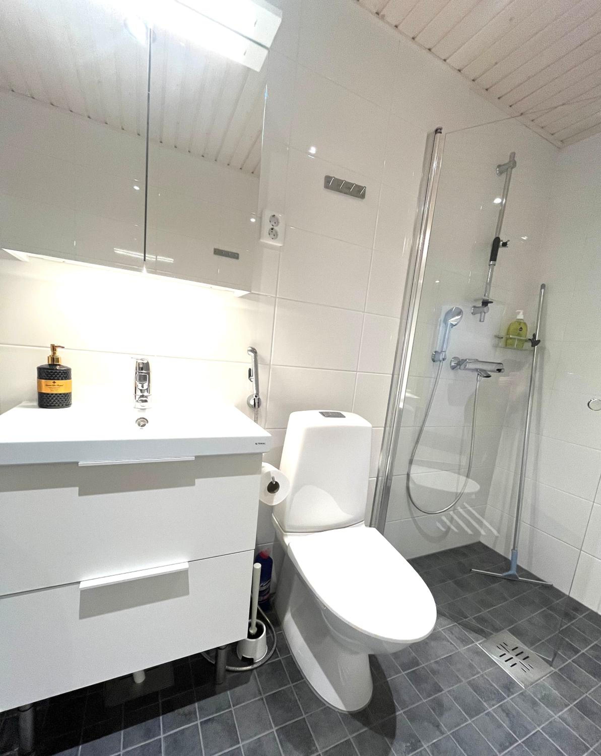 Lovely Premium Studio in Tapiola