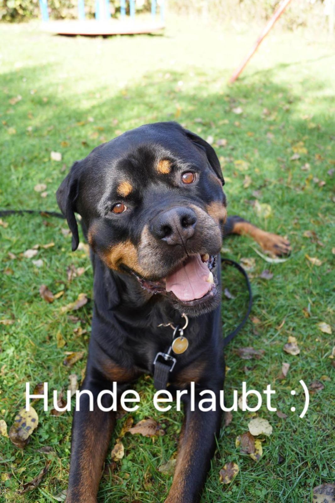 Stubainest Schmidt Ferienwohnung