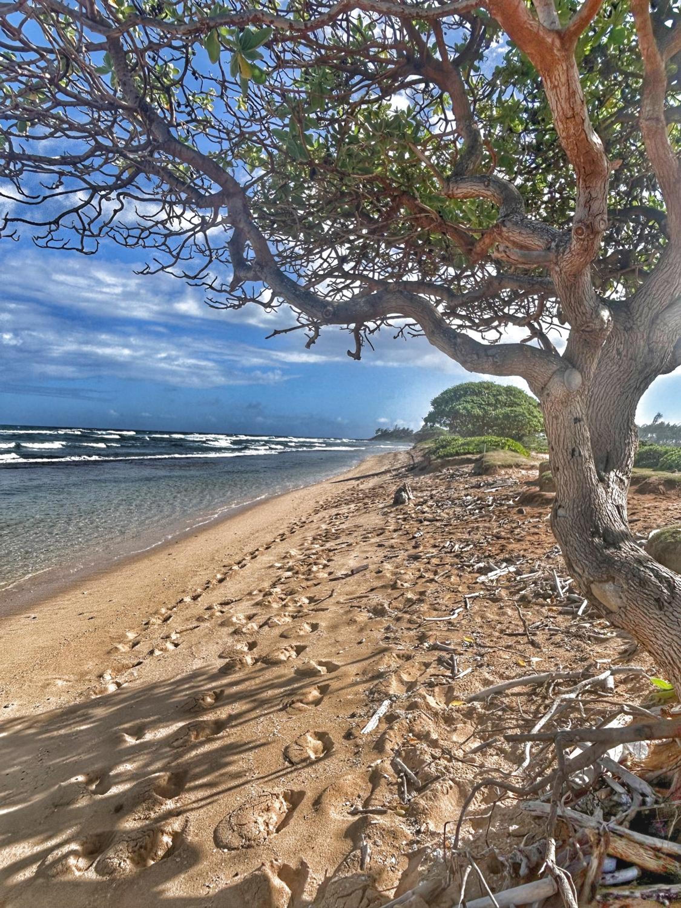 New! Watch Pacific Ocean sunrise from the comfort of your private ocean view lanai with coffee in hand!
