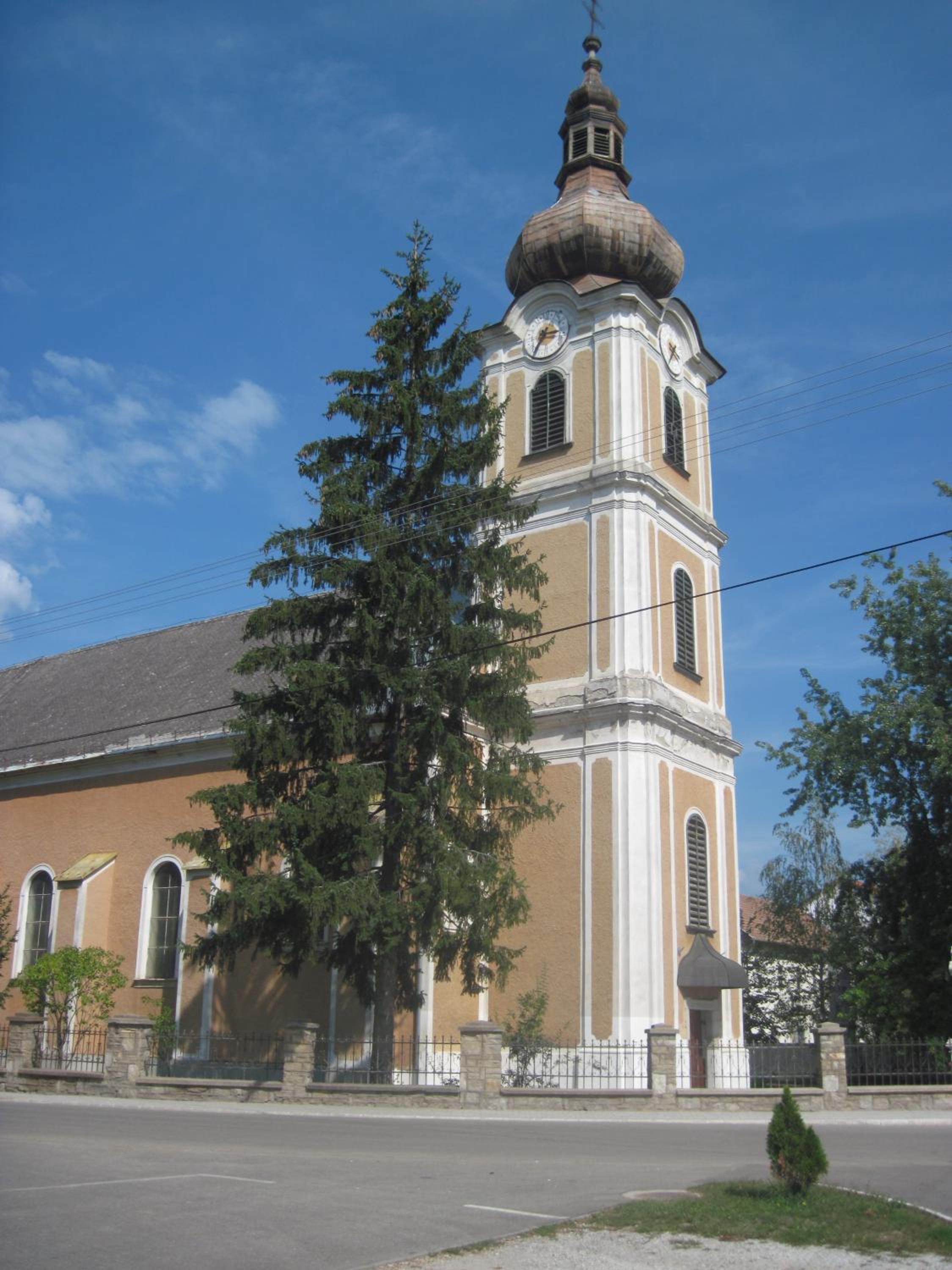 Photo 51