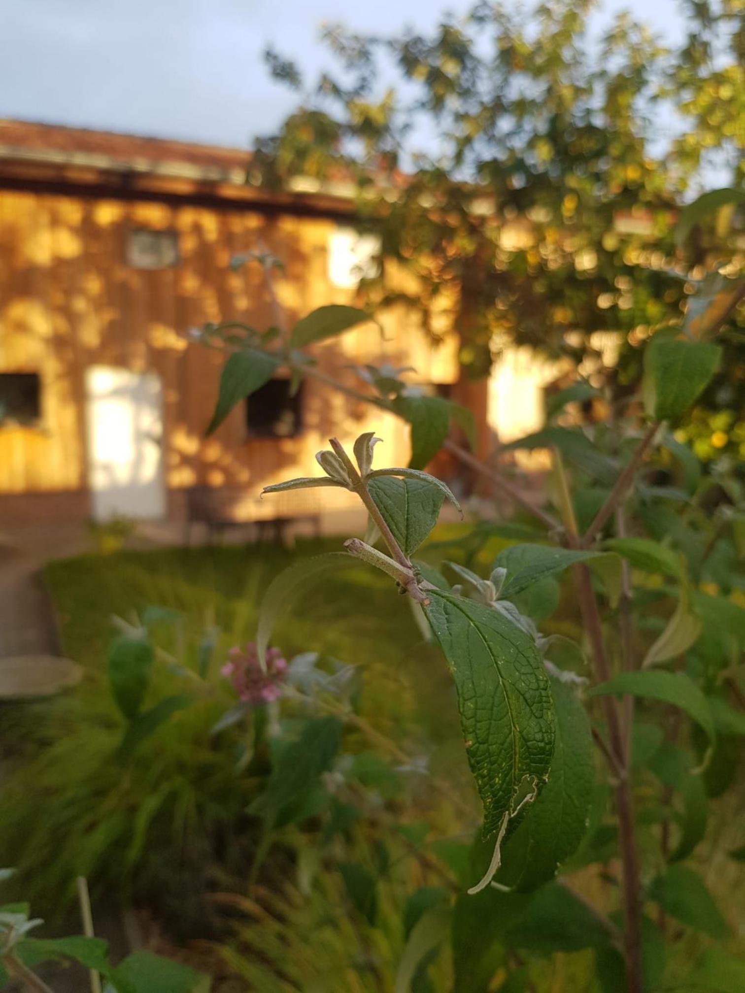 Kochstedter Wohnstuben - Wohnen mit Naturbaustoffen in der Bauhausstadt Dessau