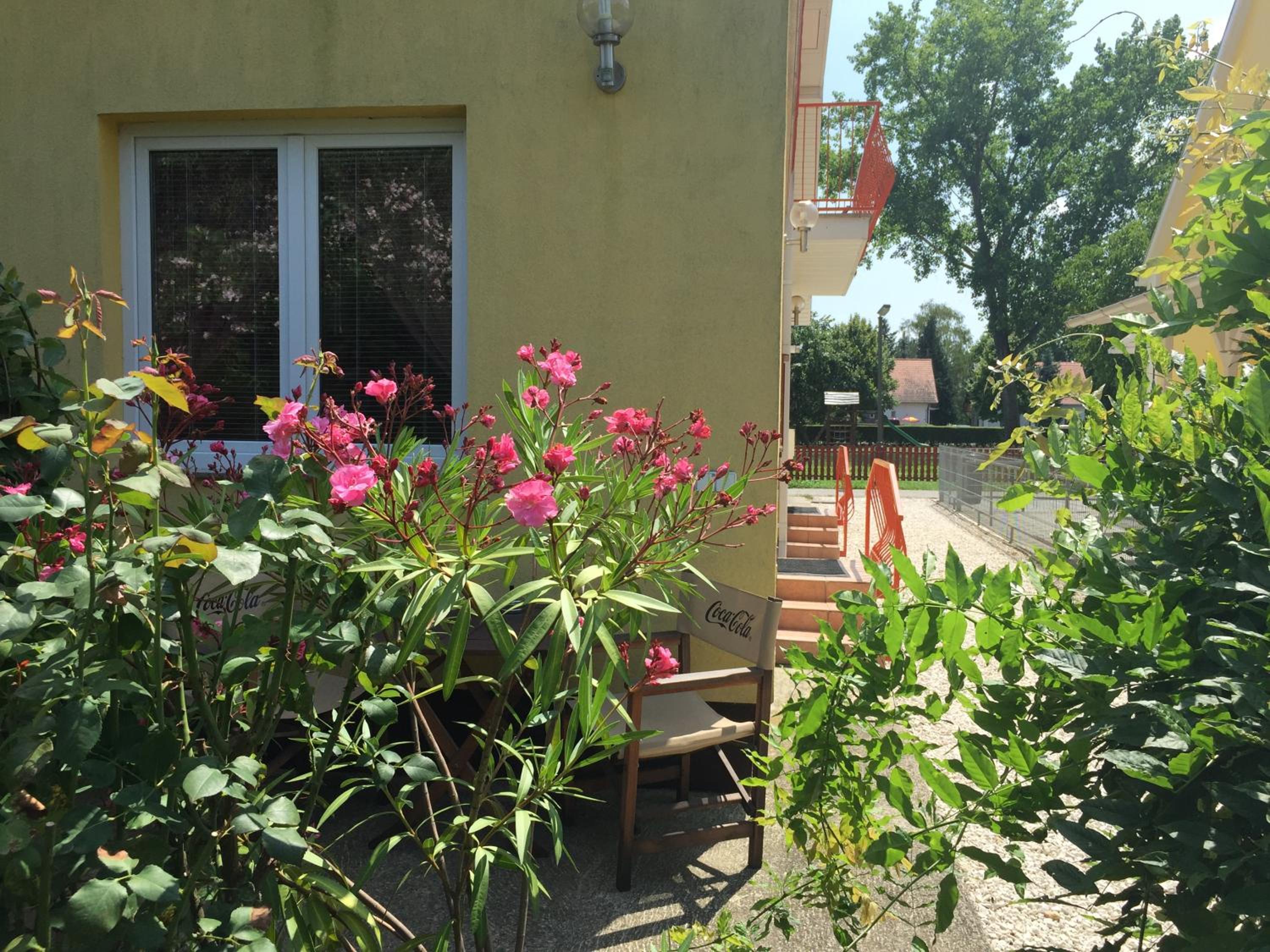 Photo 33