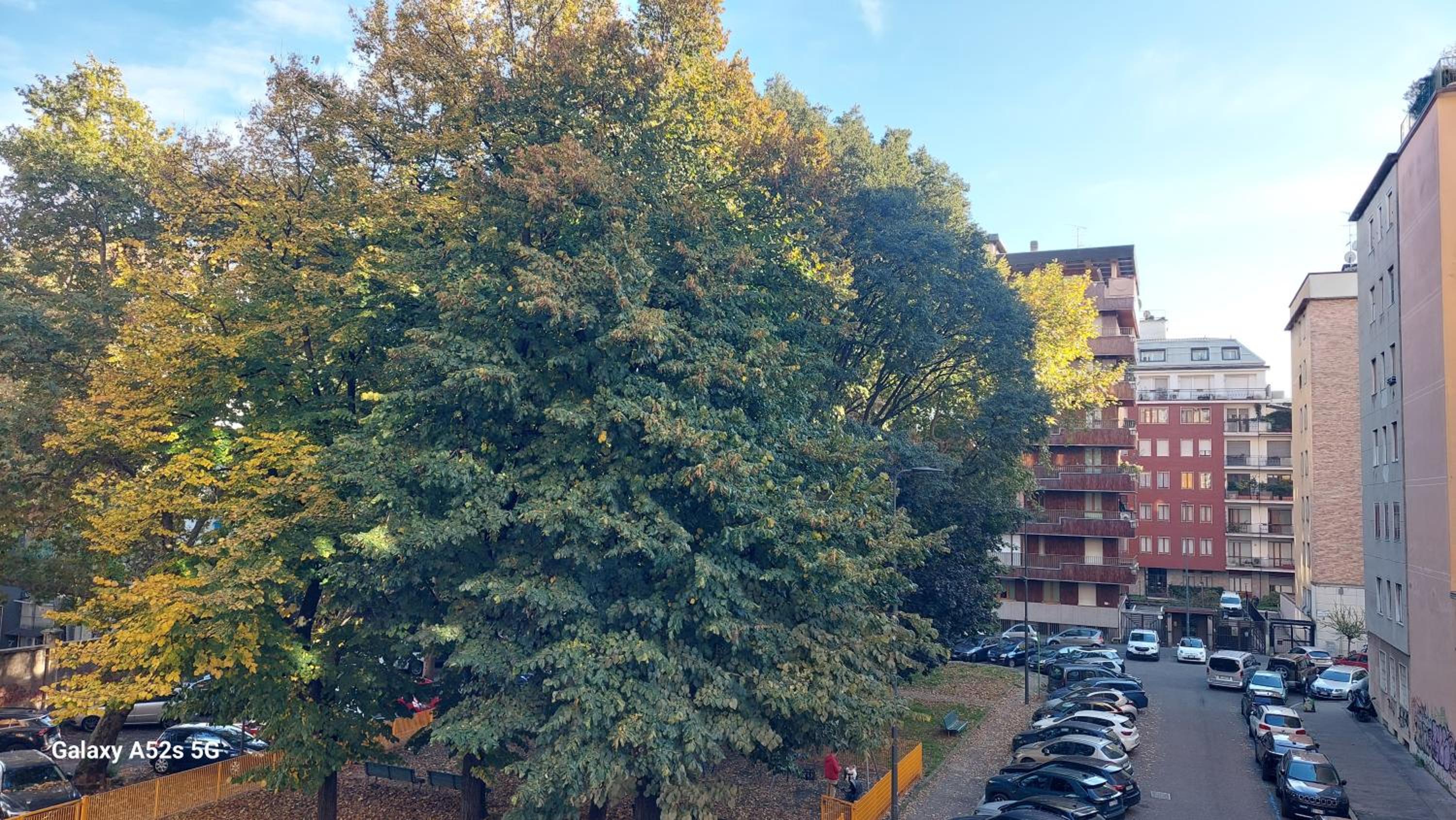 Large Apartment Città Studi Milano