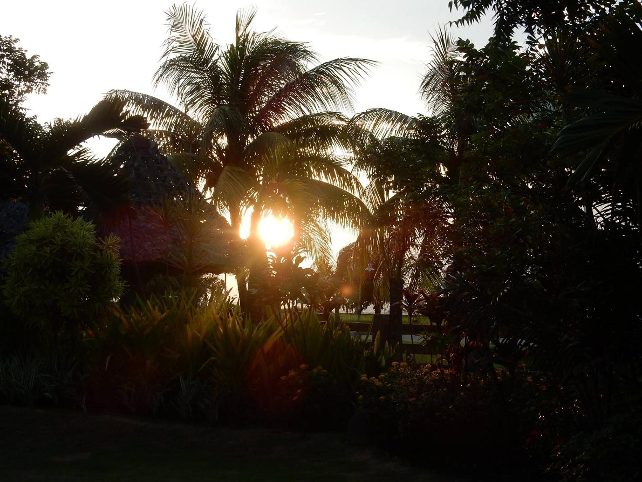 Mount Sea Resort, photo 49