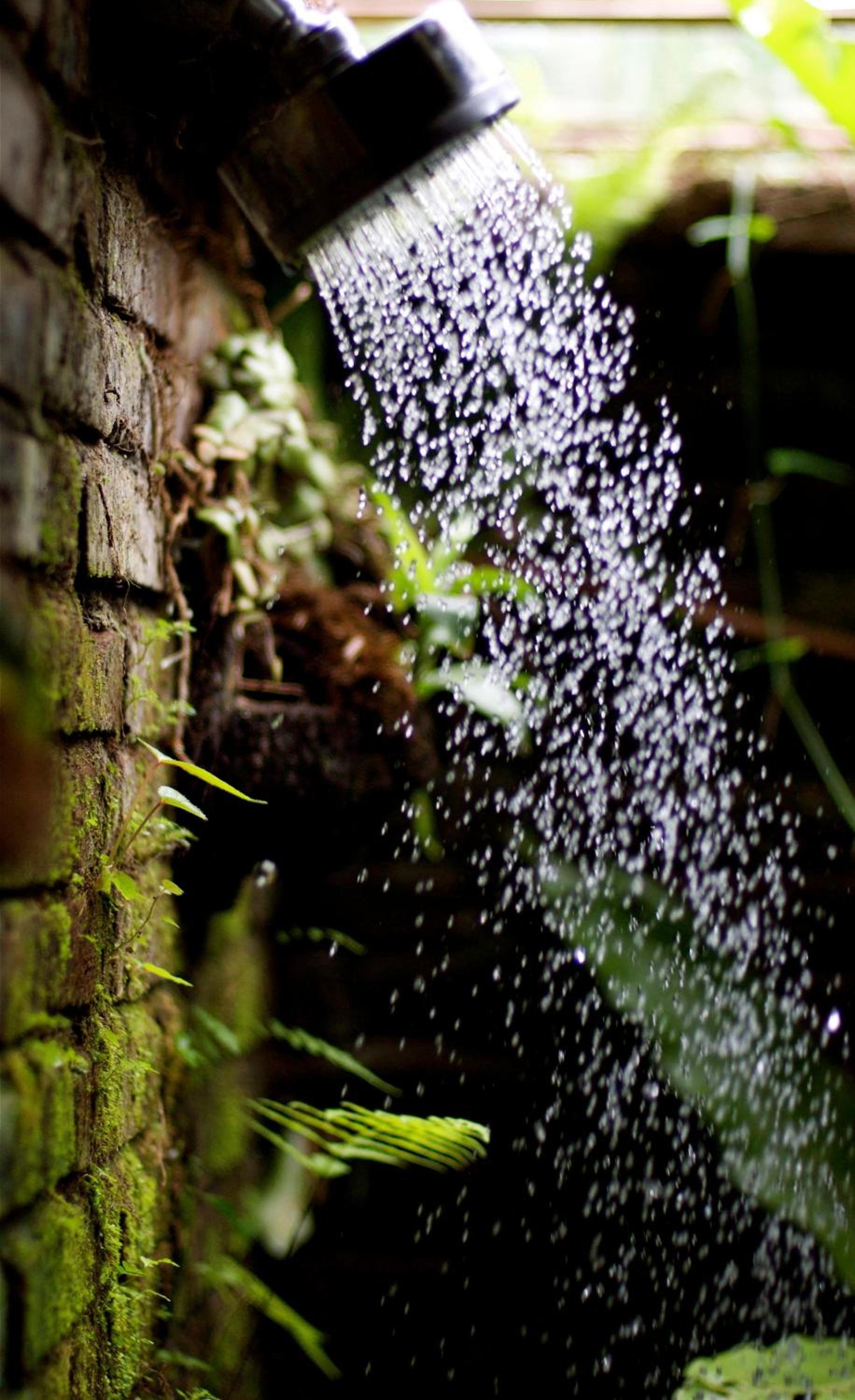 Sarinbuana Eco Lodge