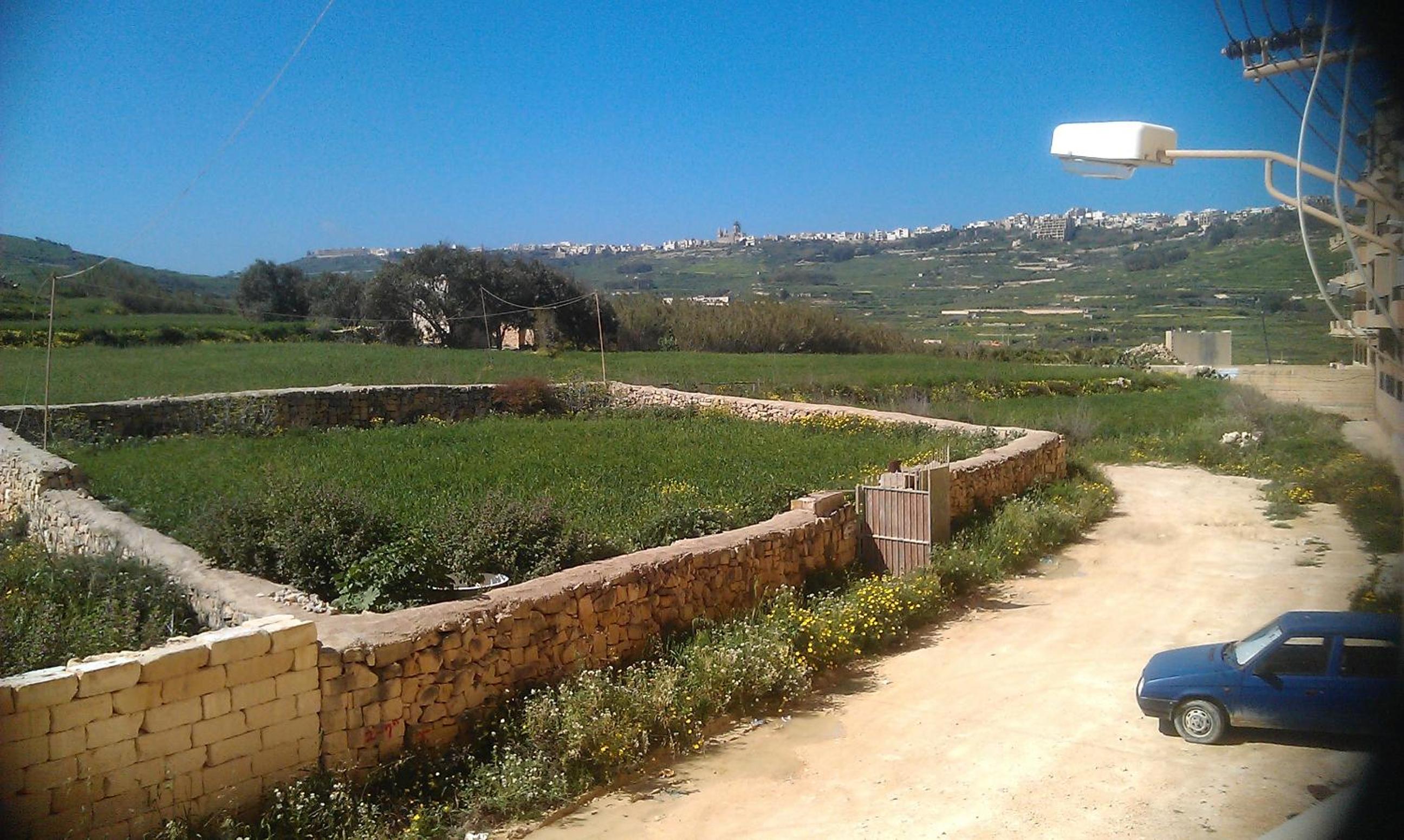 Photo 22