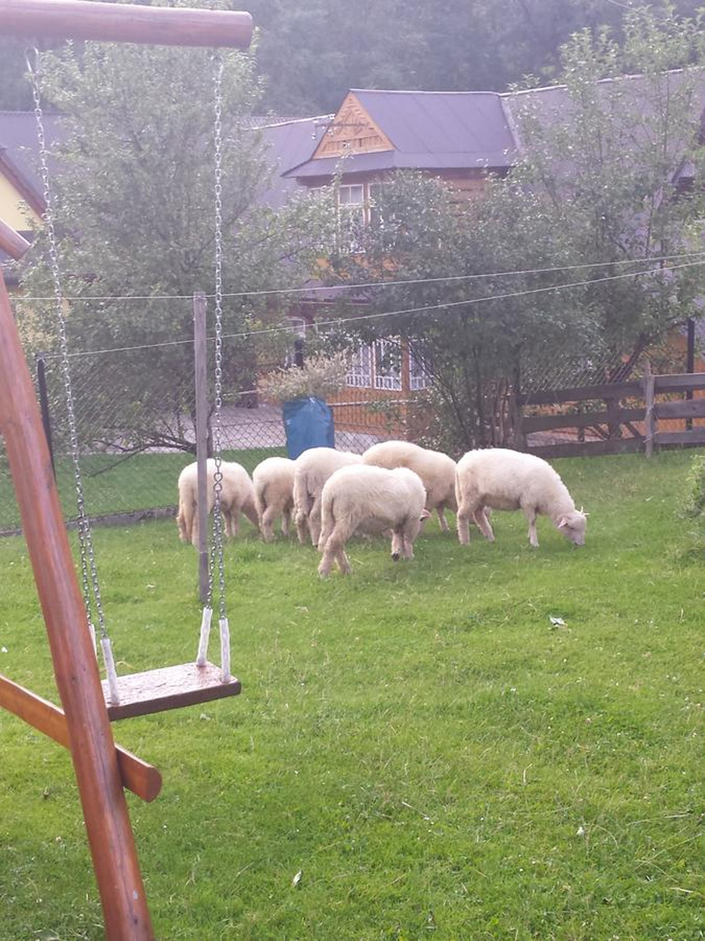 Photo 32