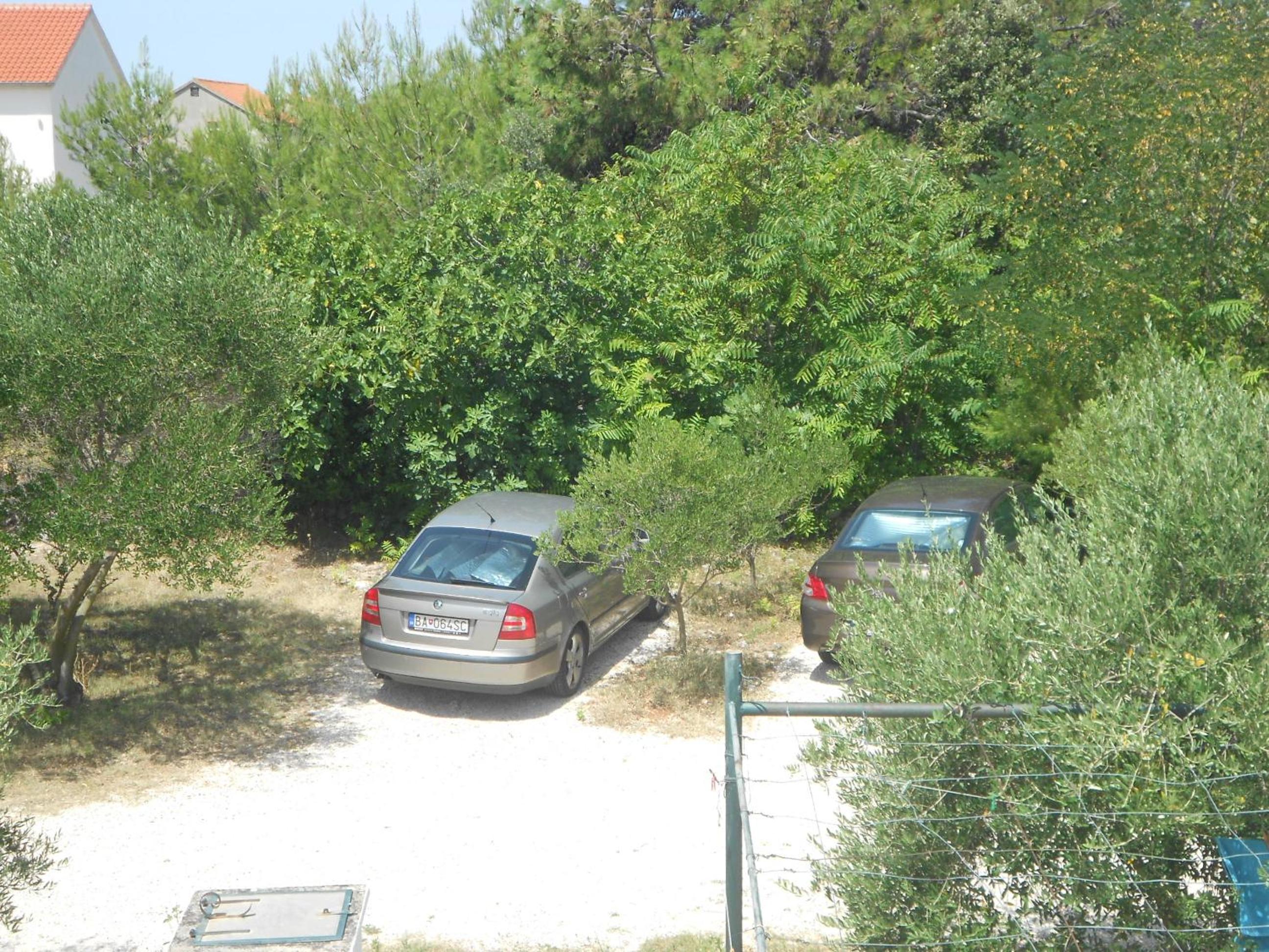 Photo 47