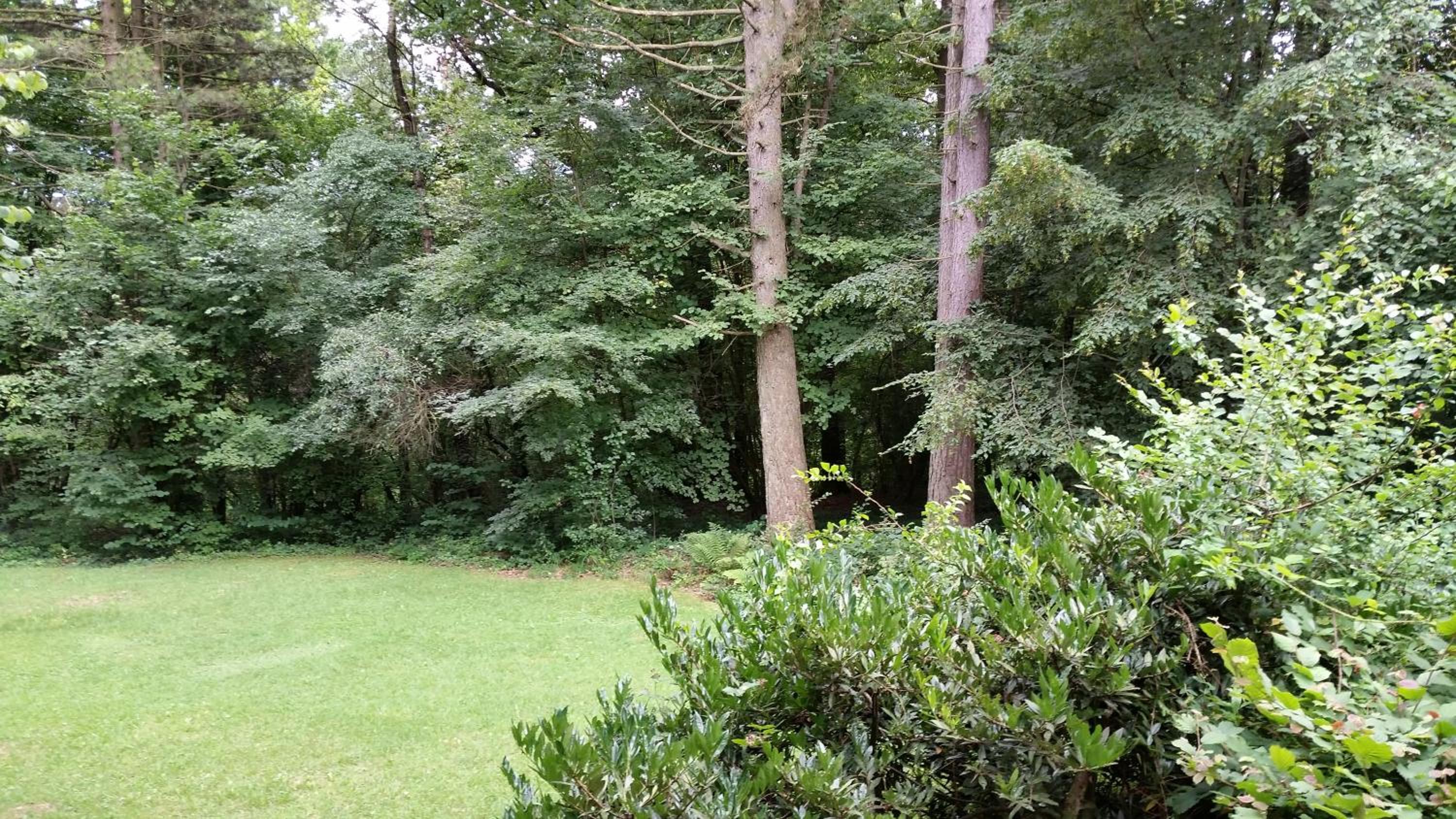 Photo 26