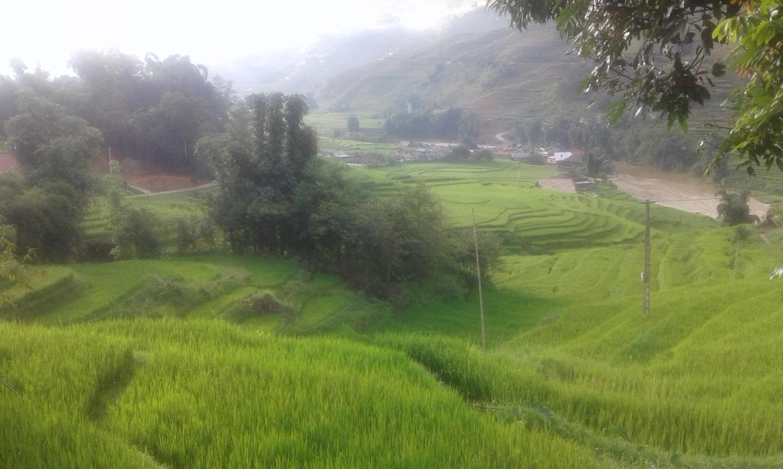 Tavan View Homestay
