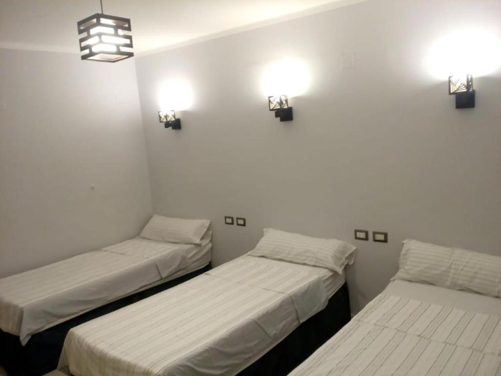 Venus Downtown Hotel