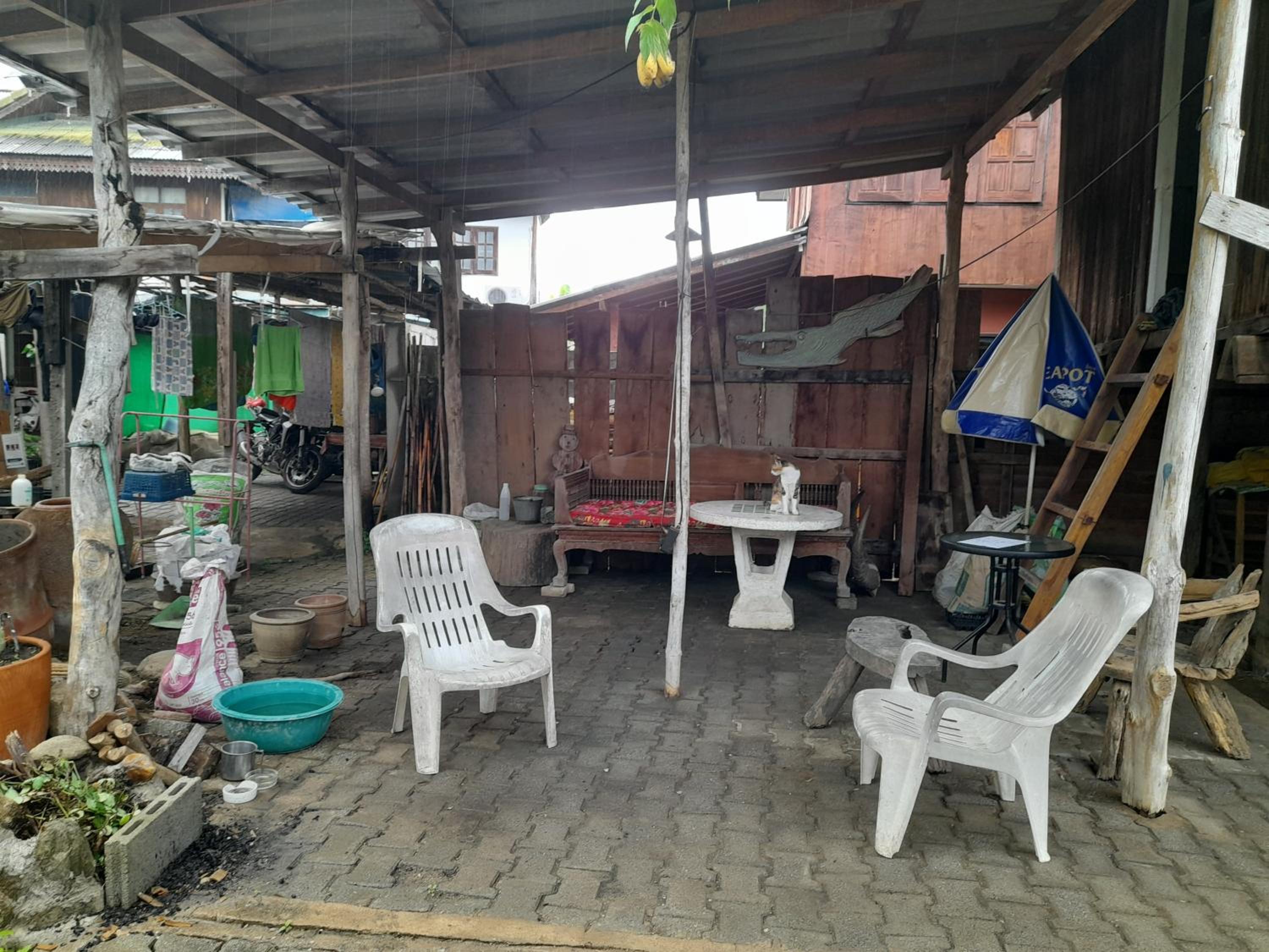 Cactus Hostel !for non smokers!, photo 6