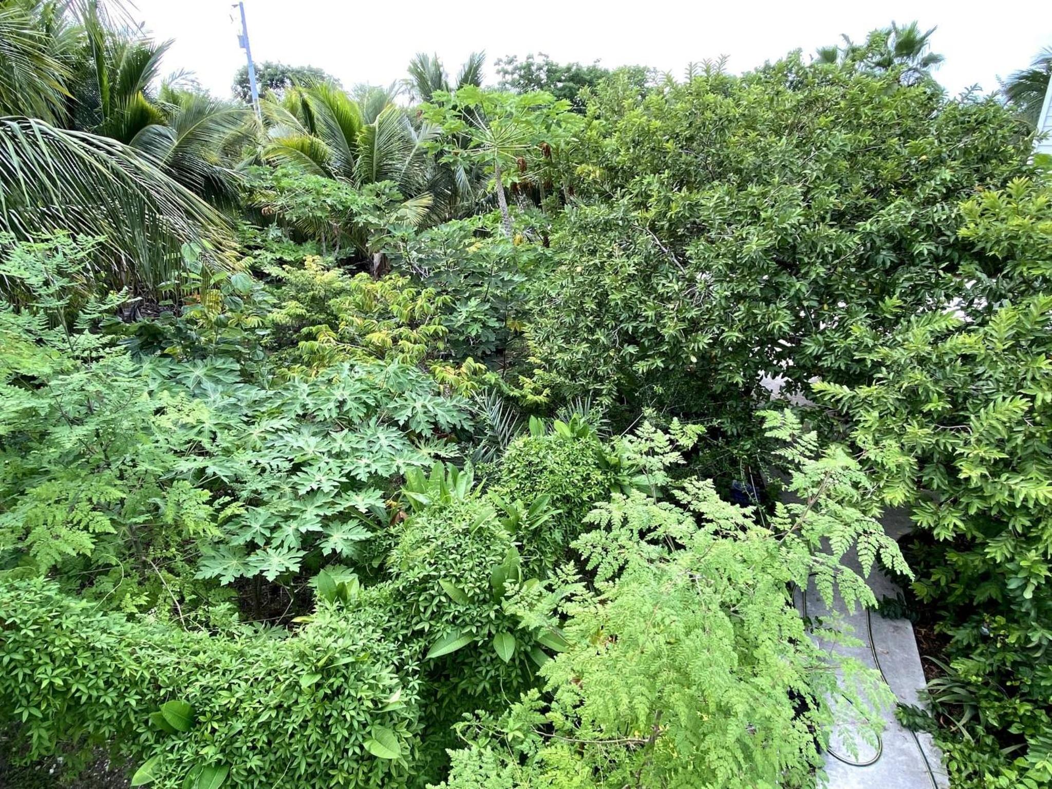 Eco Friendly Secluded OceanView Pool near Key West