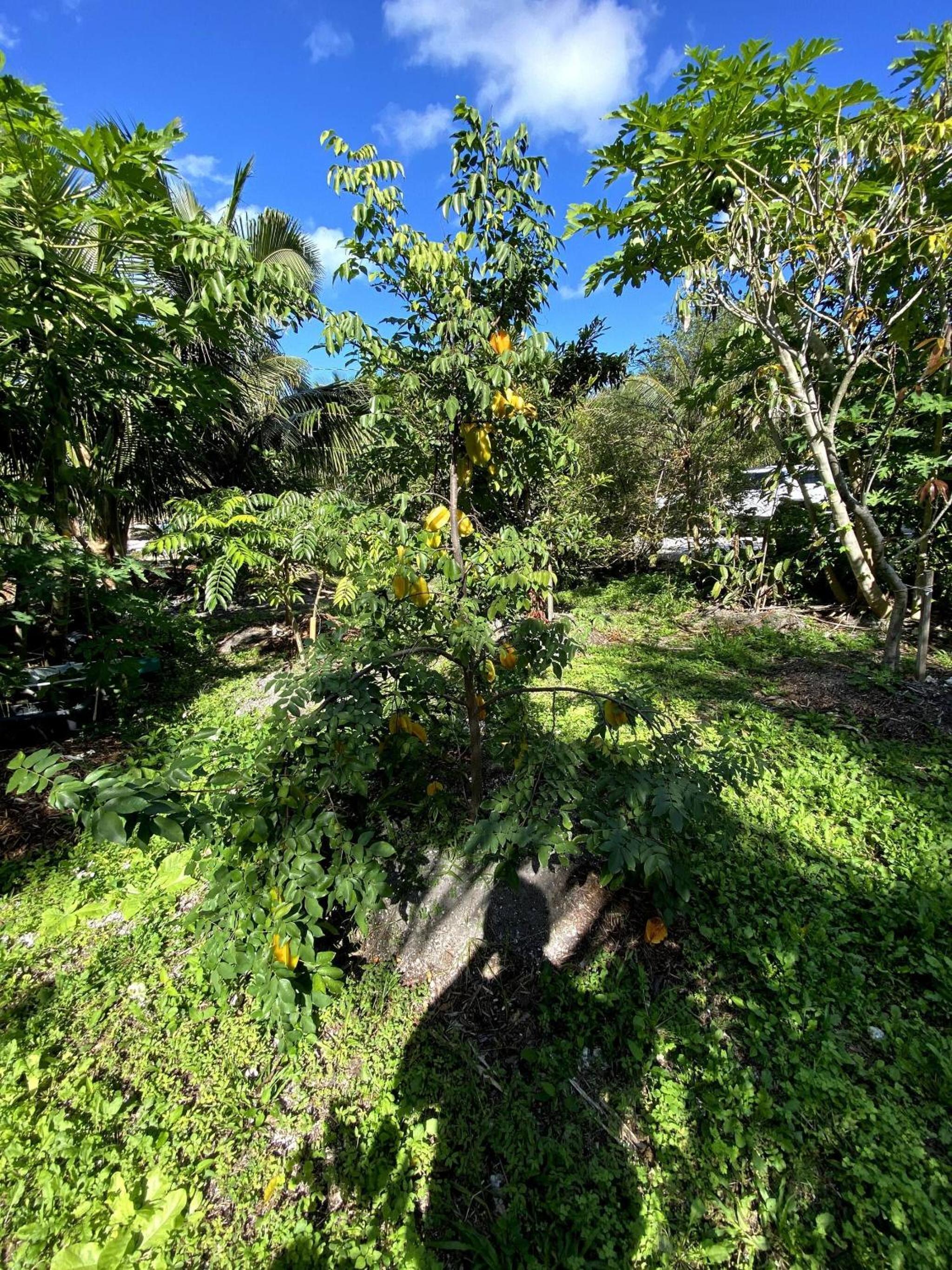 Eco Friendly Secluded OceanView Pool near Key West
