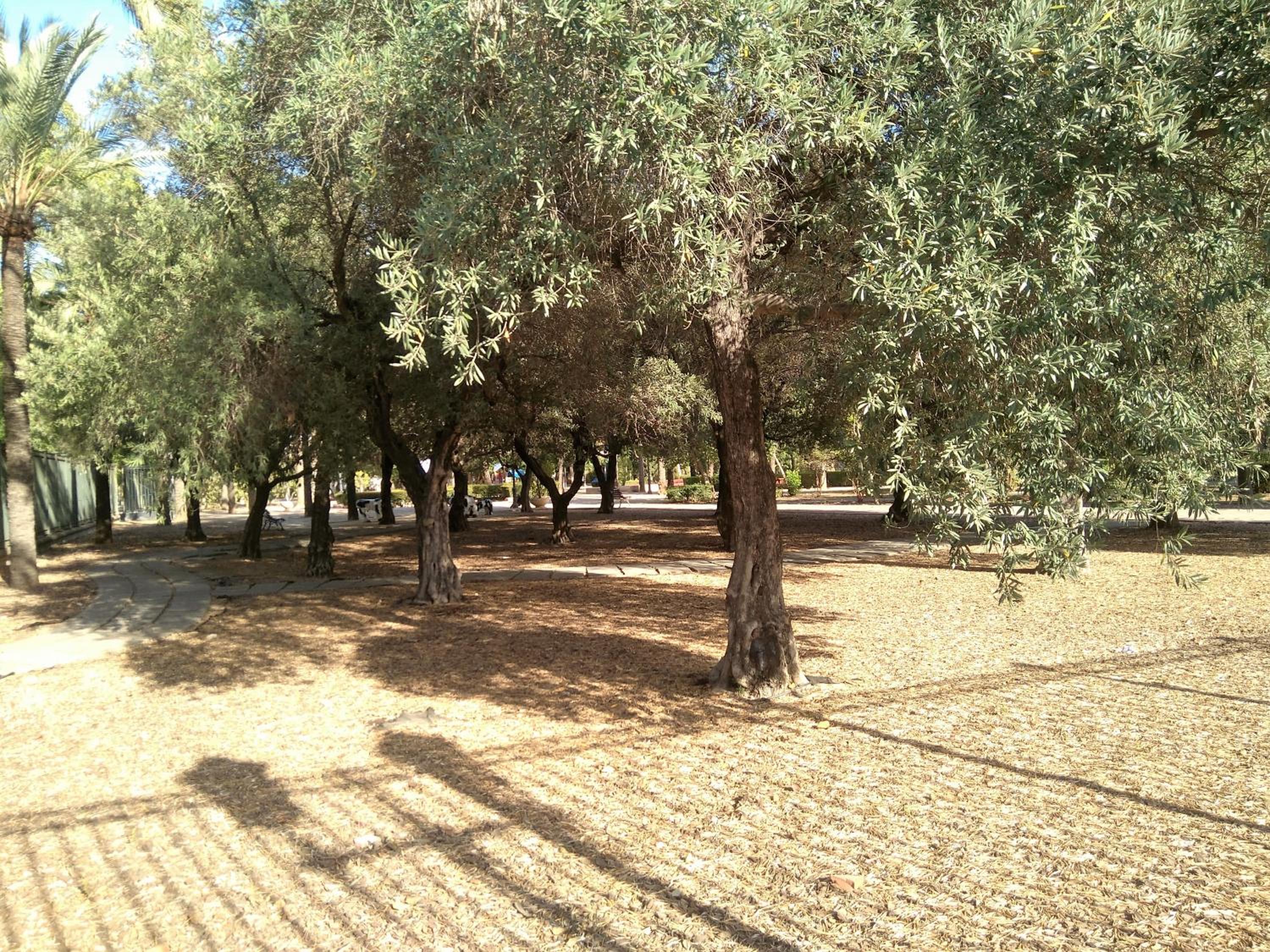 Photo 53