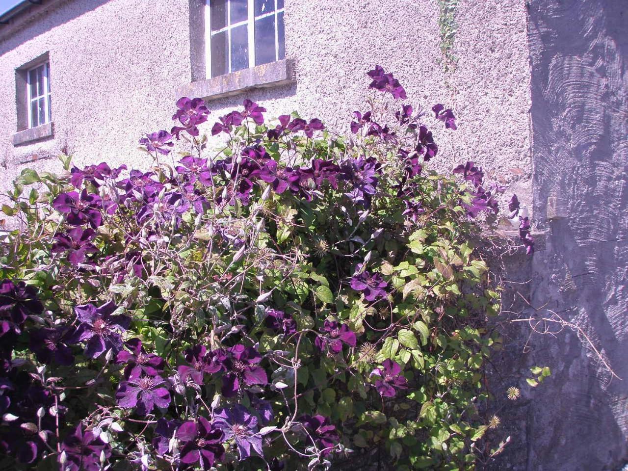 Photo 30