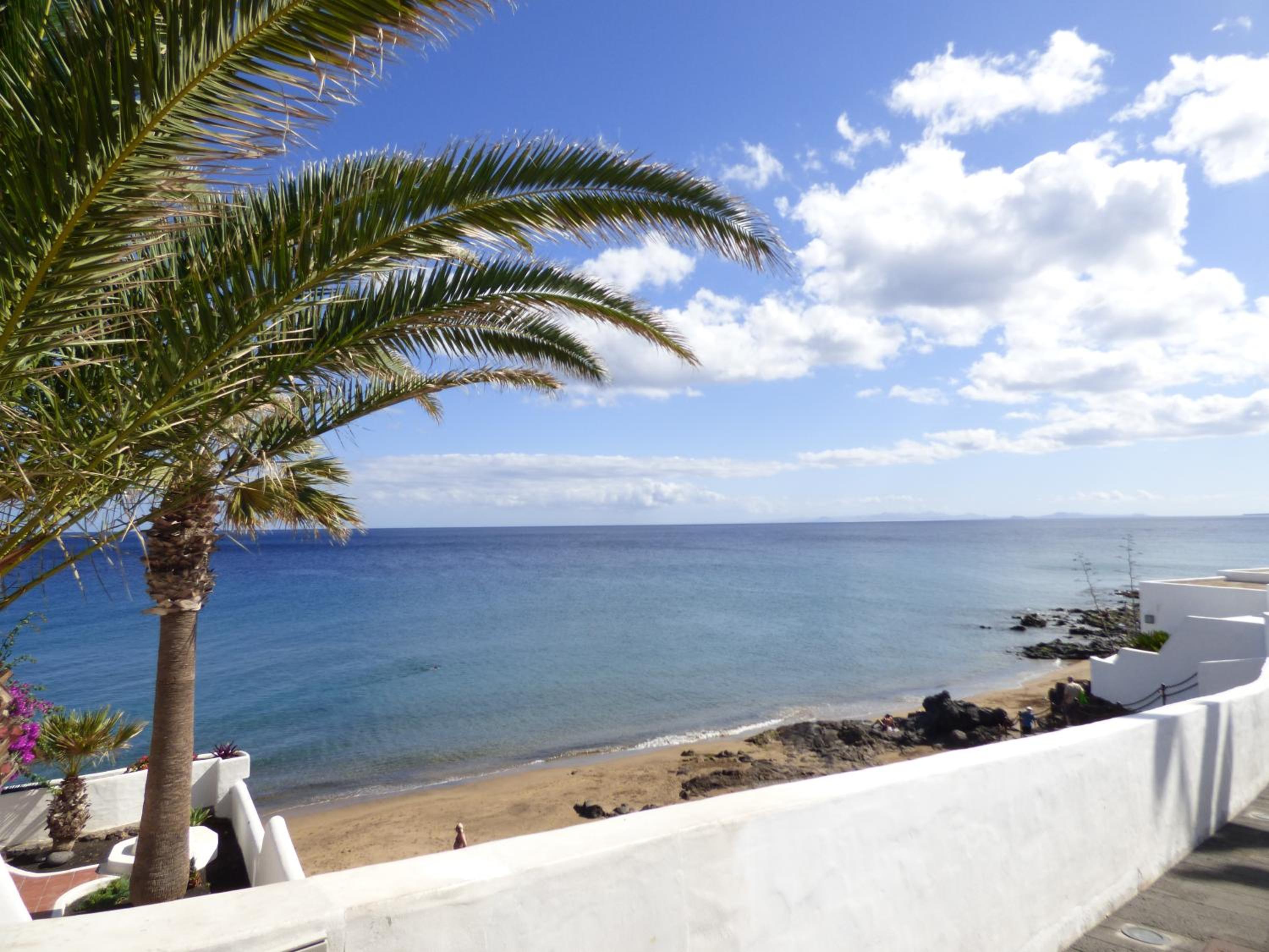 Departamento Jose view 2