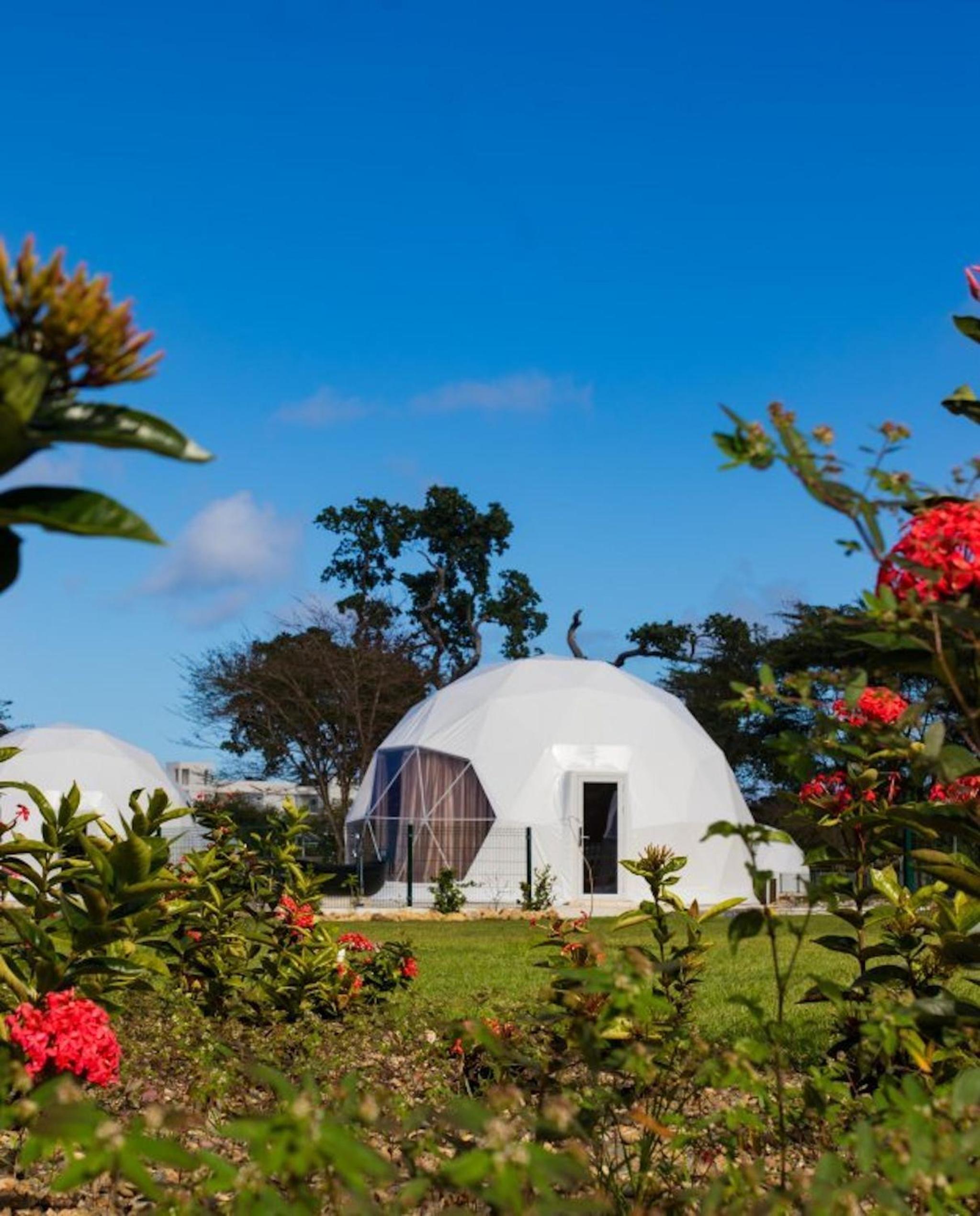 Bubble Glamping, King bed, we have a 8 units like this