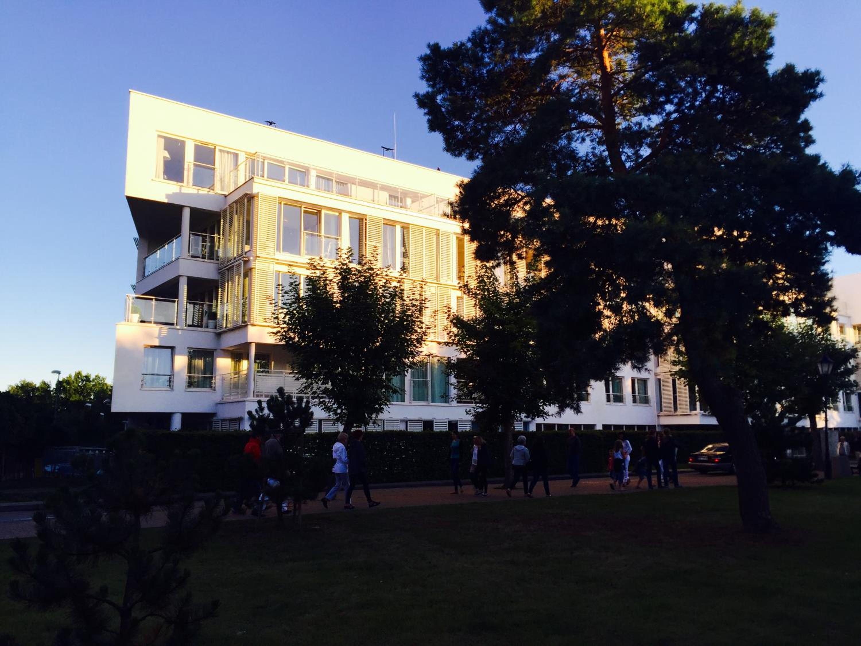 Photo 41