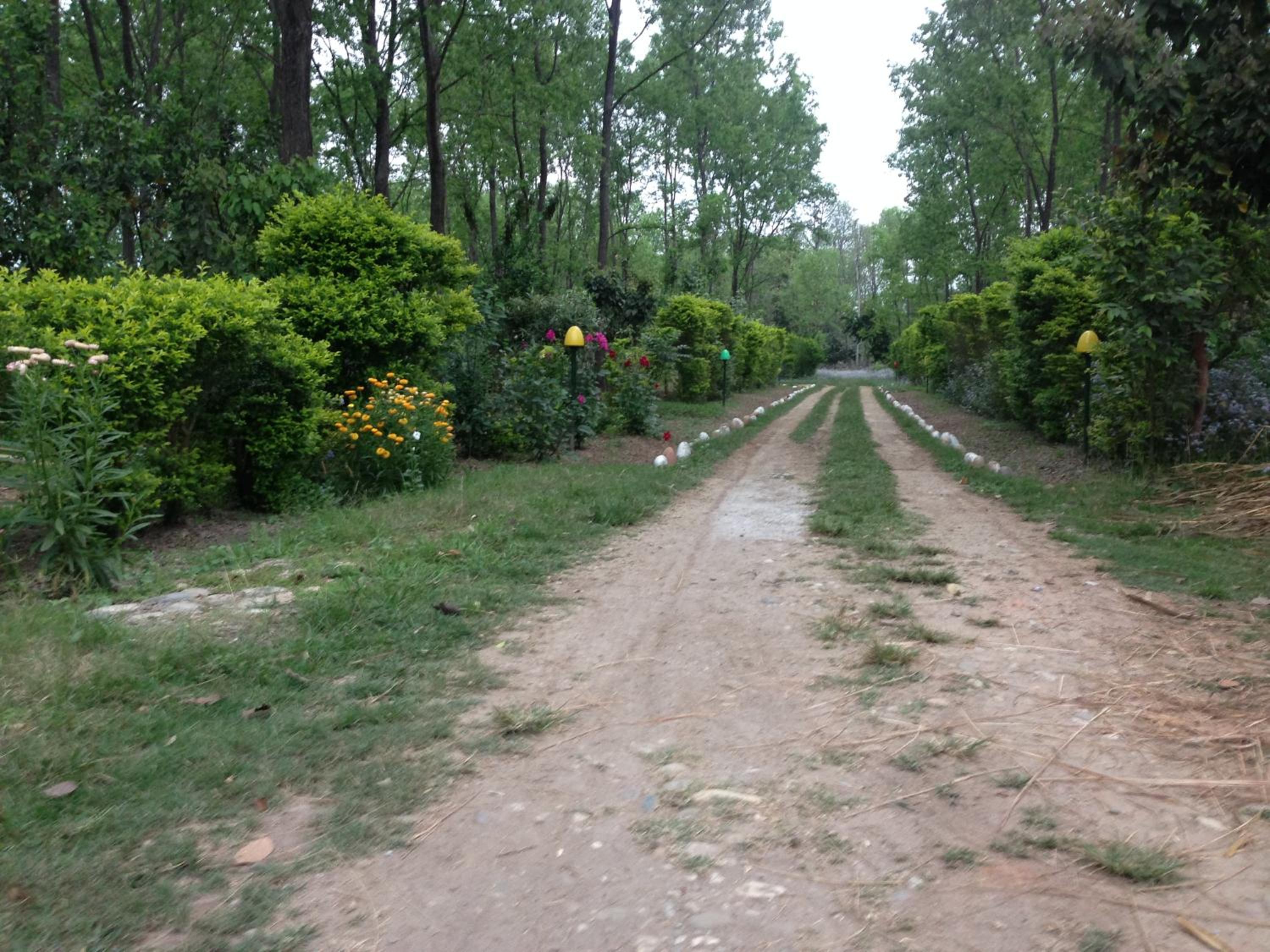 Photo 43
