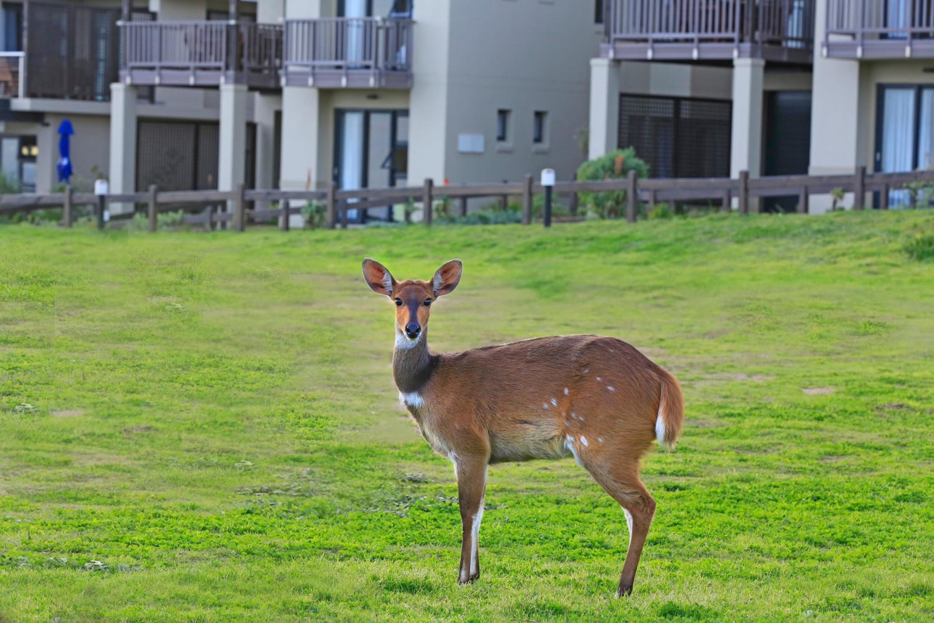 Brenton Haven Beachfront Resort