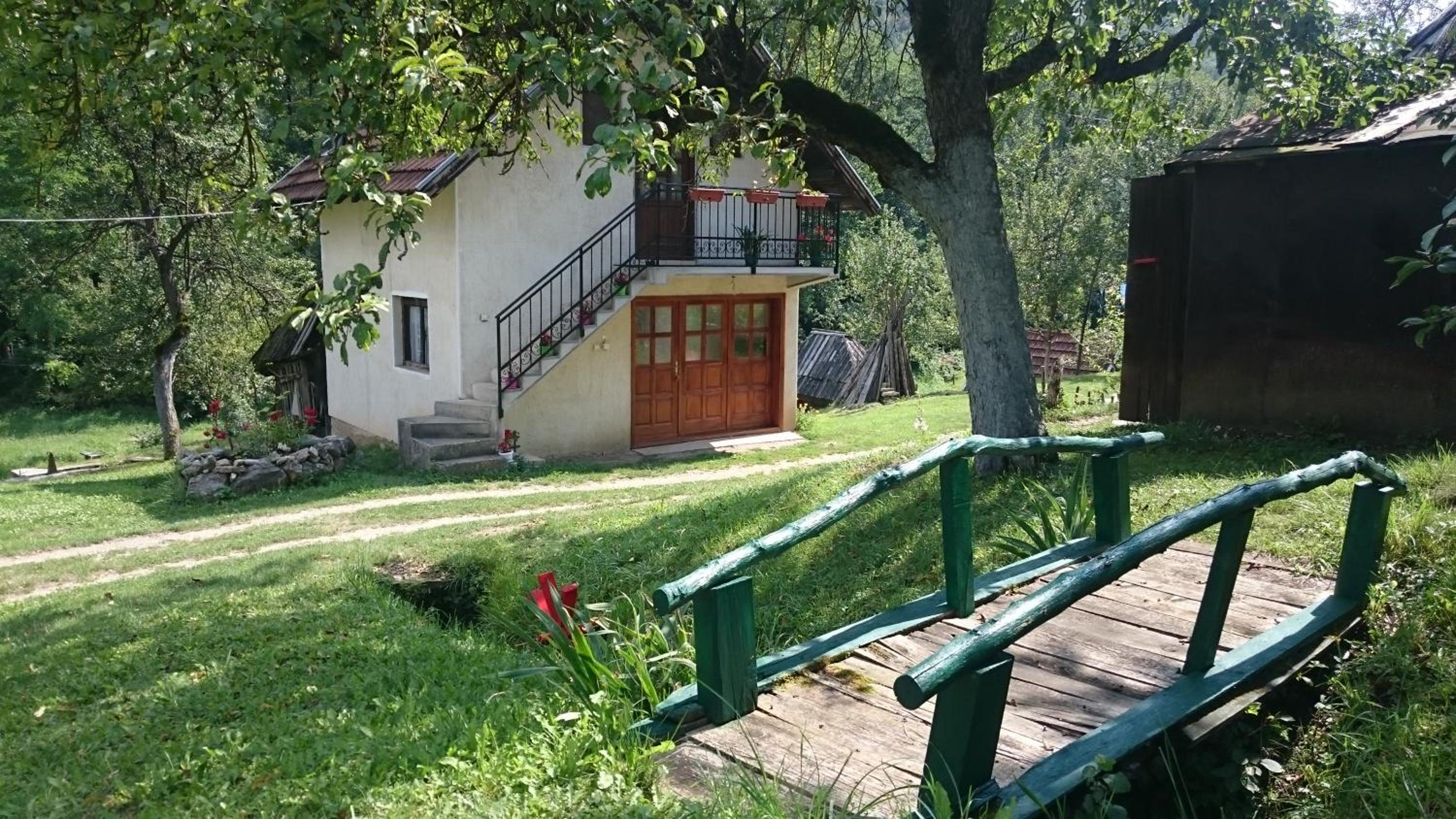 Photo 25