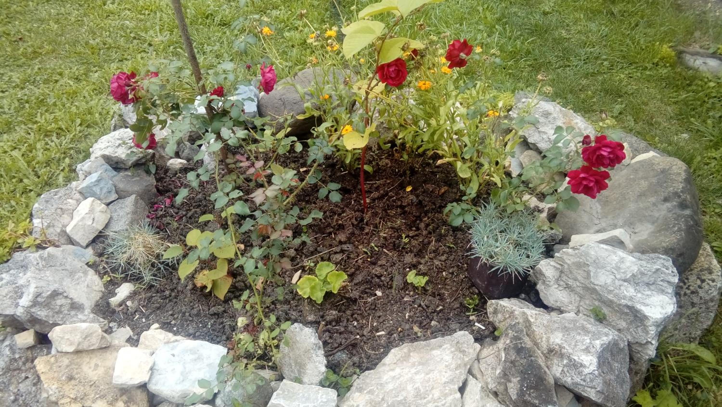 Photo 15