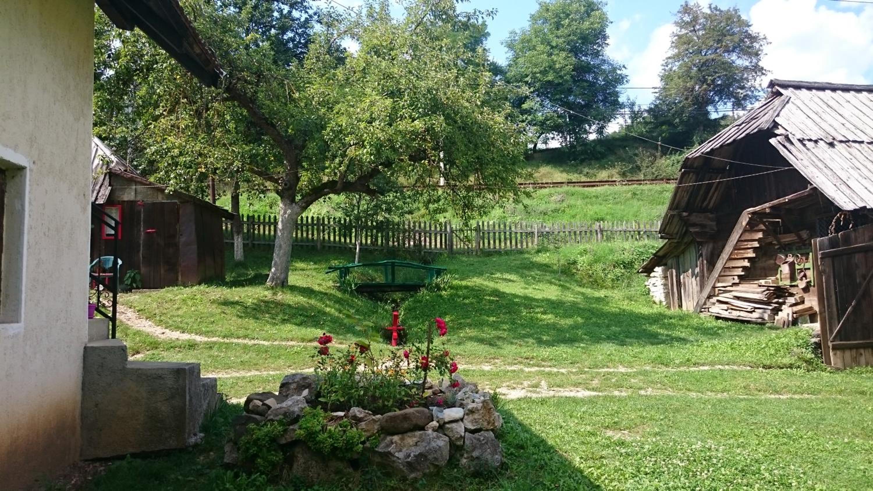 Photo 16