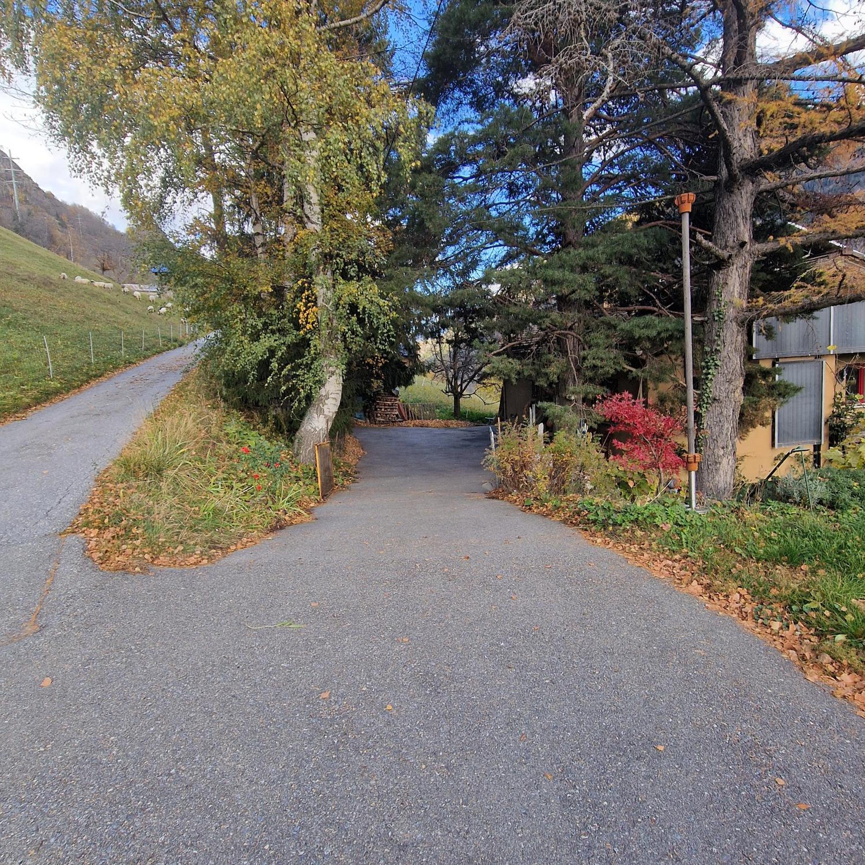 Arve, photo 22