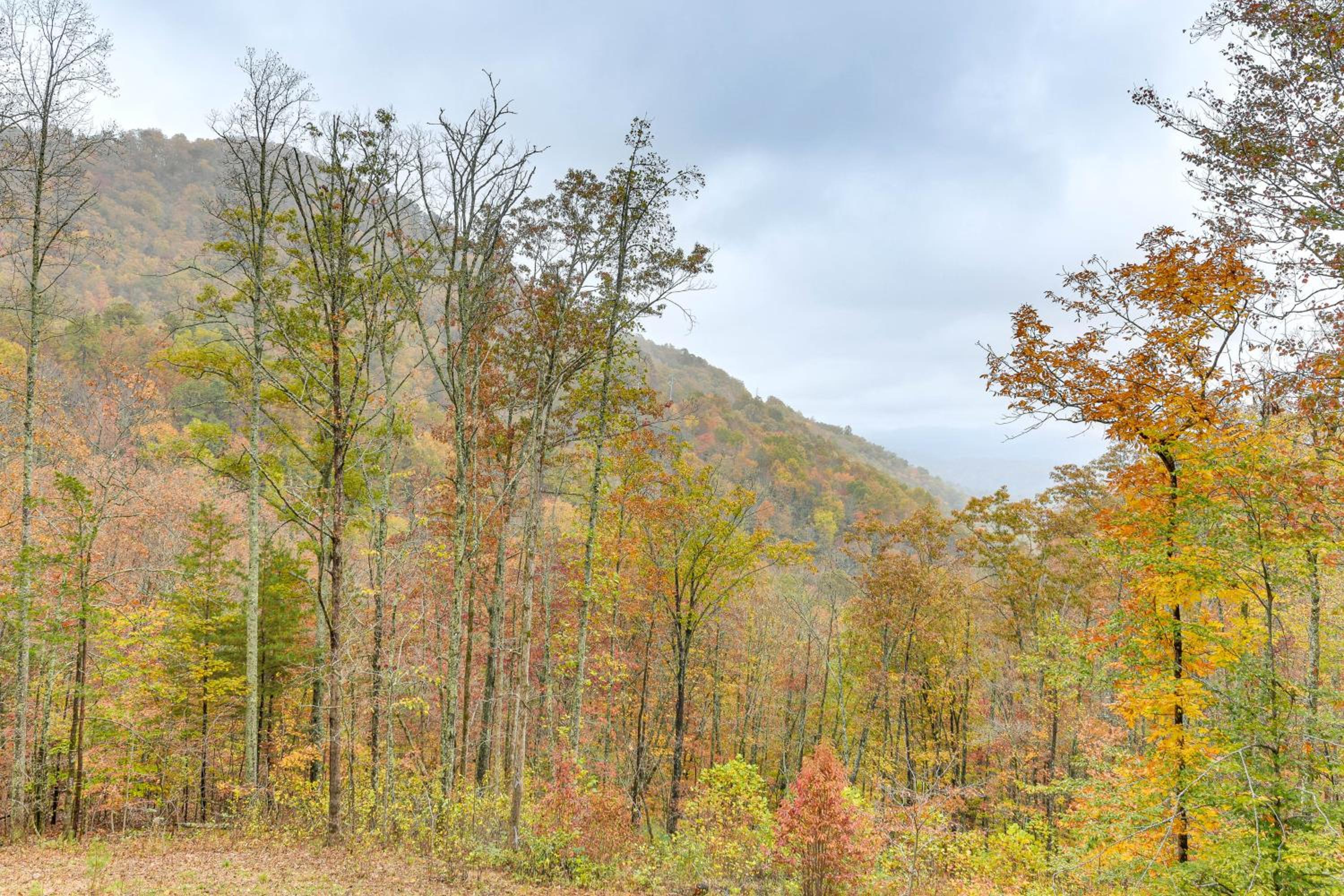 8 Mi to Dtwn Franklin Mtn-View Cabin with Fire Pit