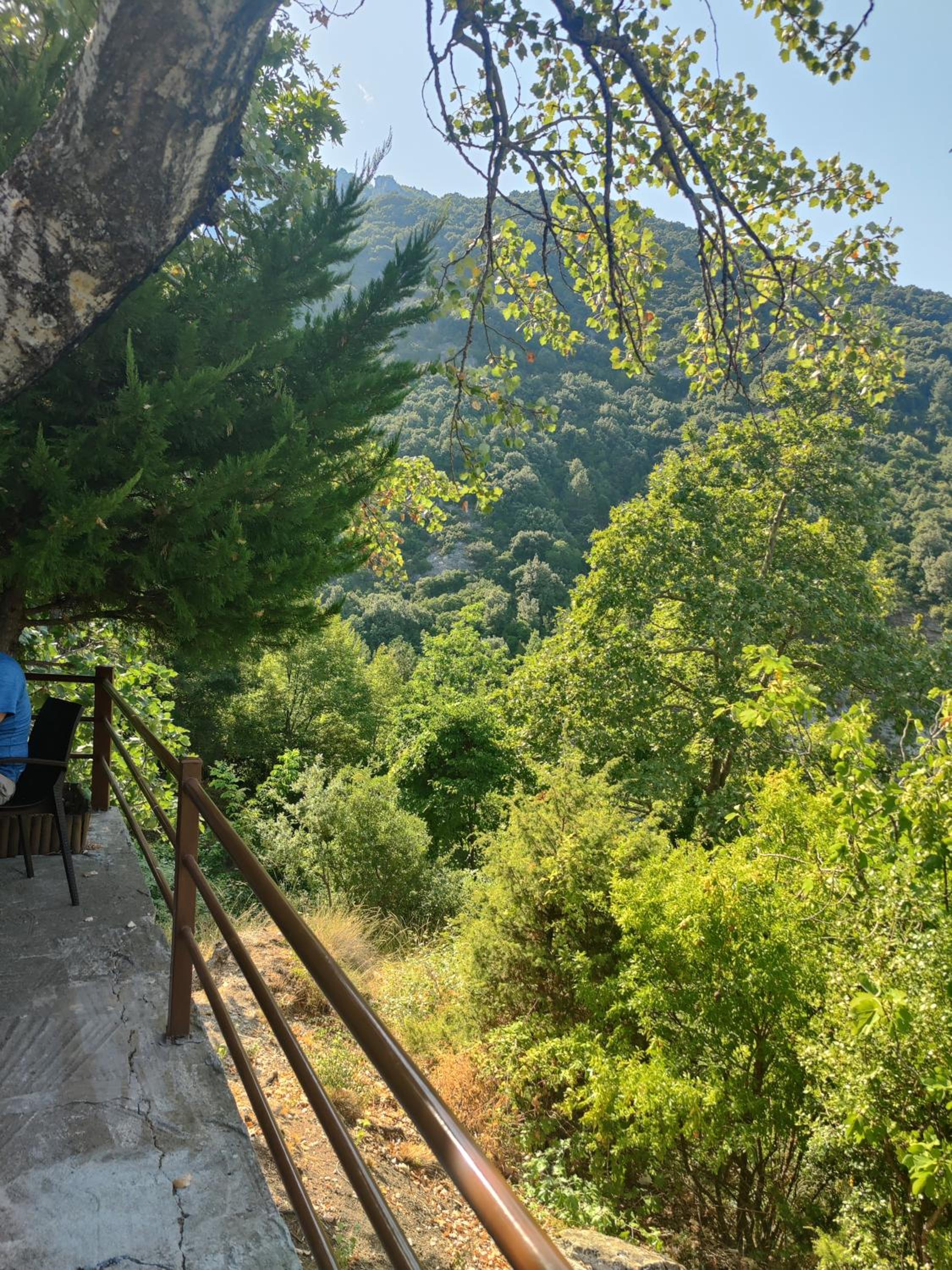 Olympus Cozy Mountain View Escape with Balcony