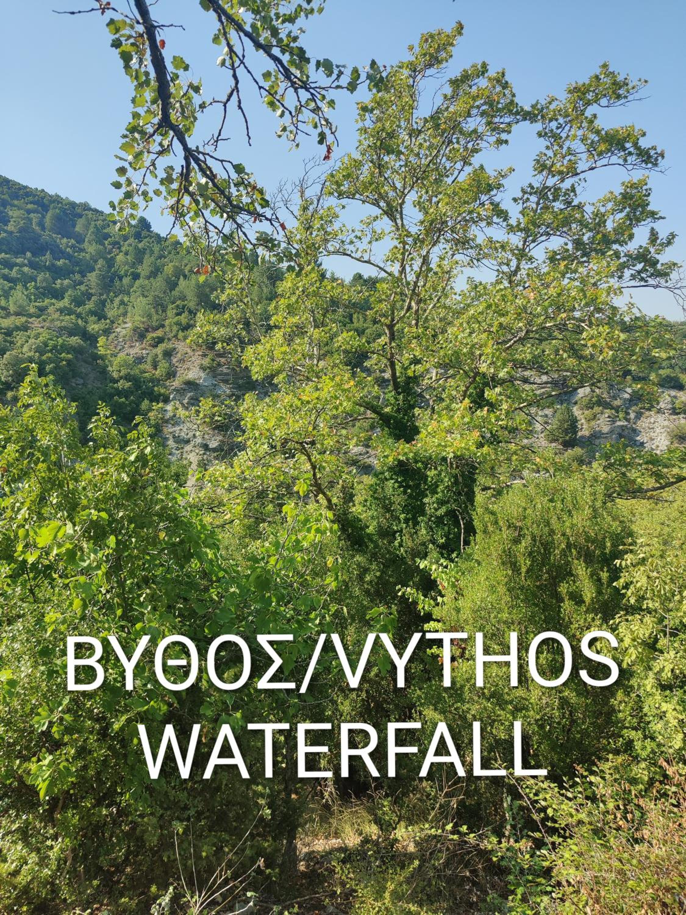 Olympus Cozy Mountain View Escape with Balcony