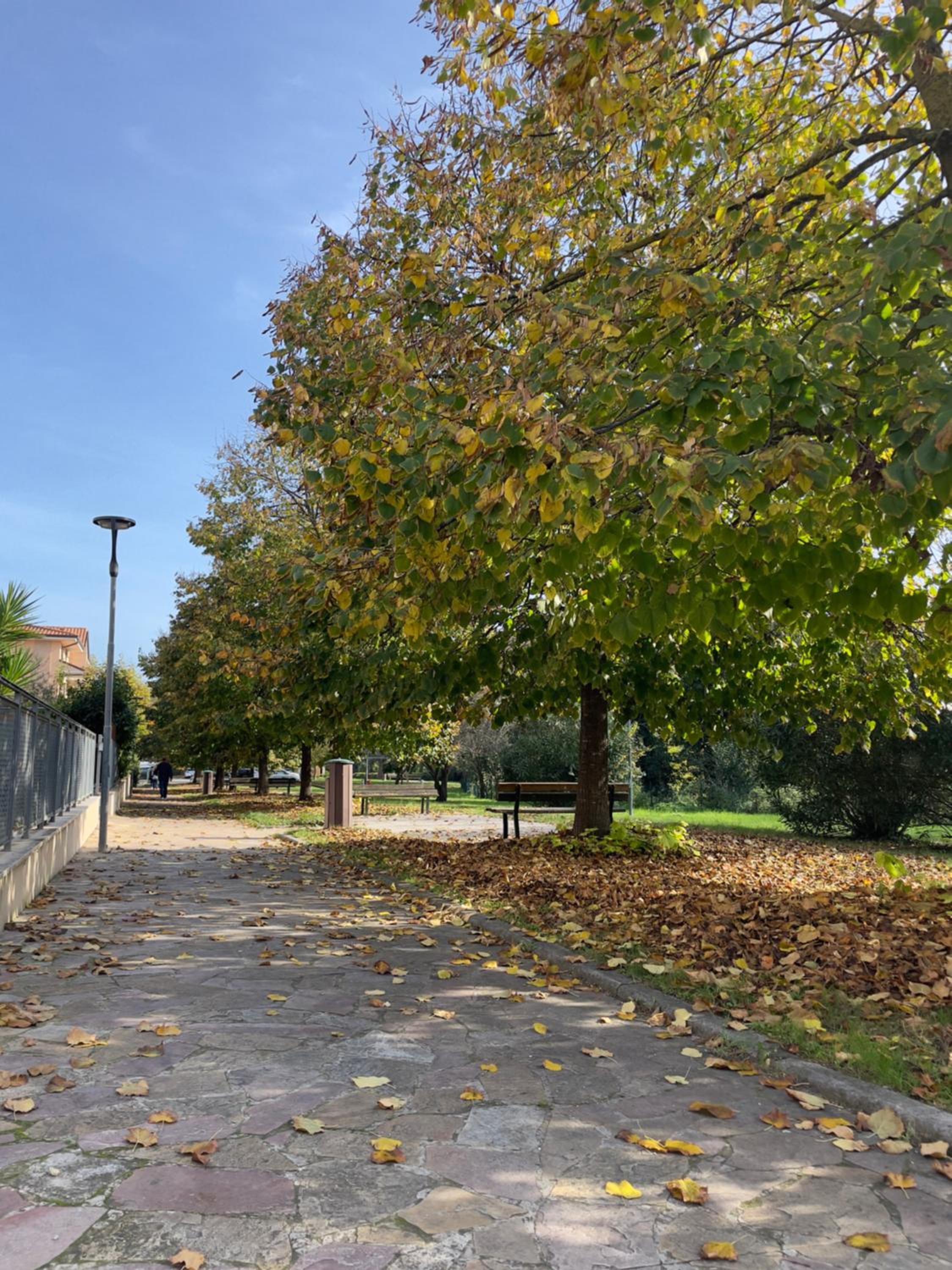 Verdemare Casa vacanze - Relax a Fano