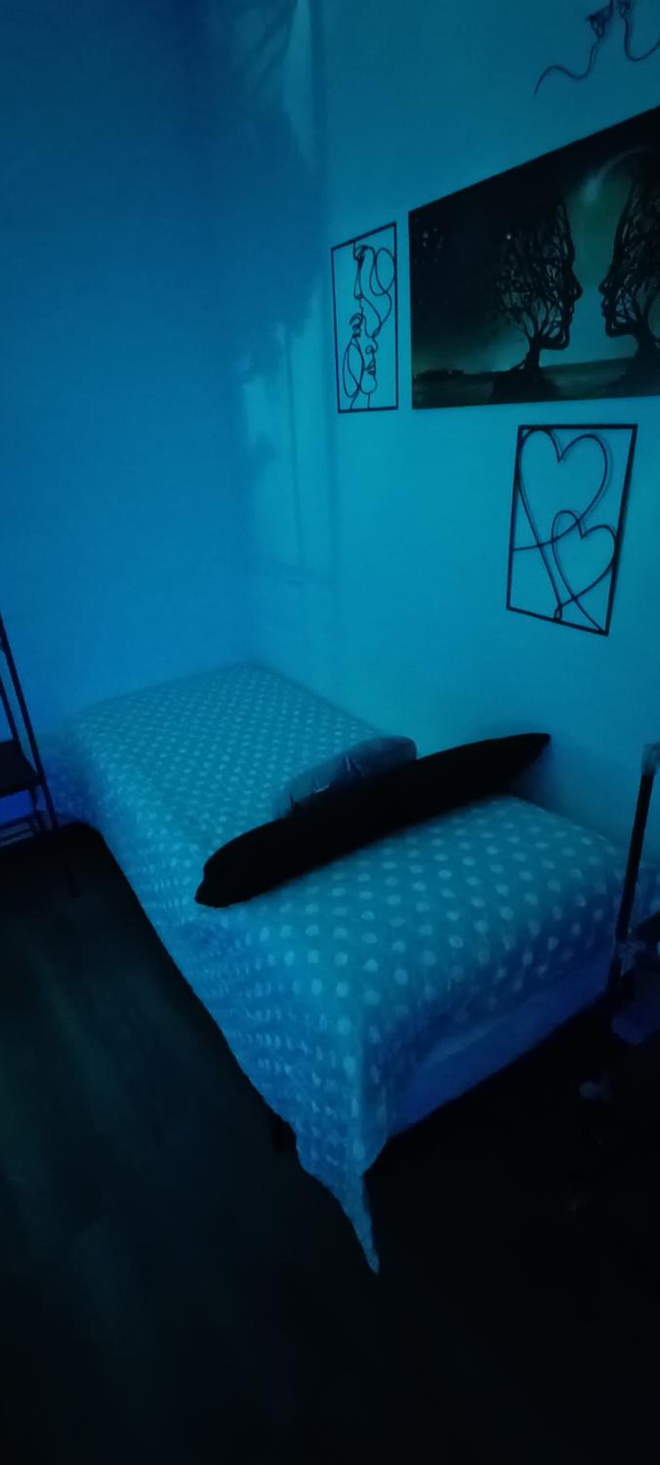 Il sogno di Elisa -romantico B&B nel centro di Parma