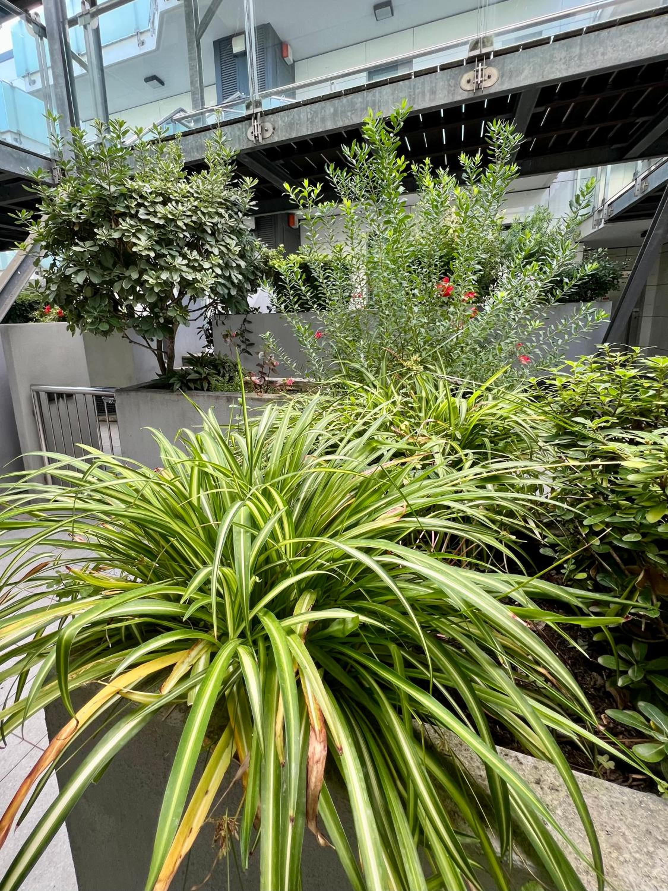 Palm Grove House con terrazzo e box privato