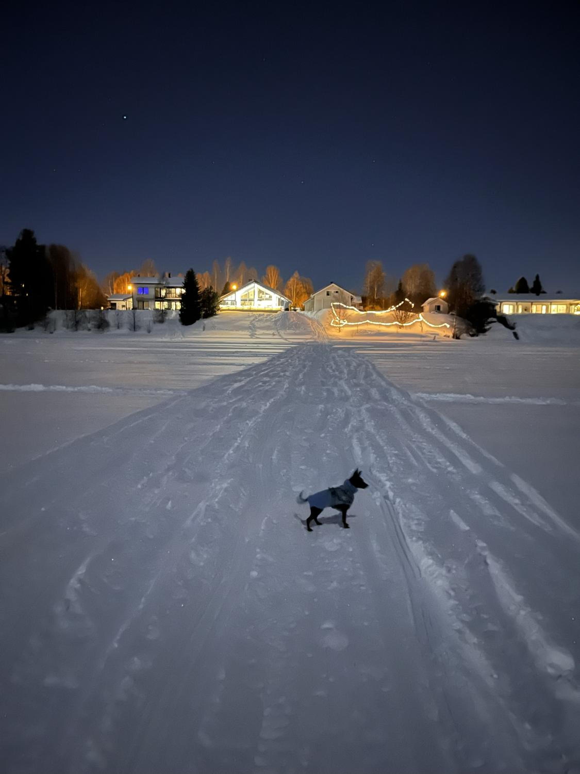 Aurora Arctic Riverside Villa