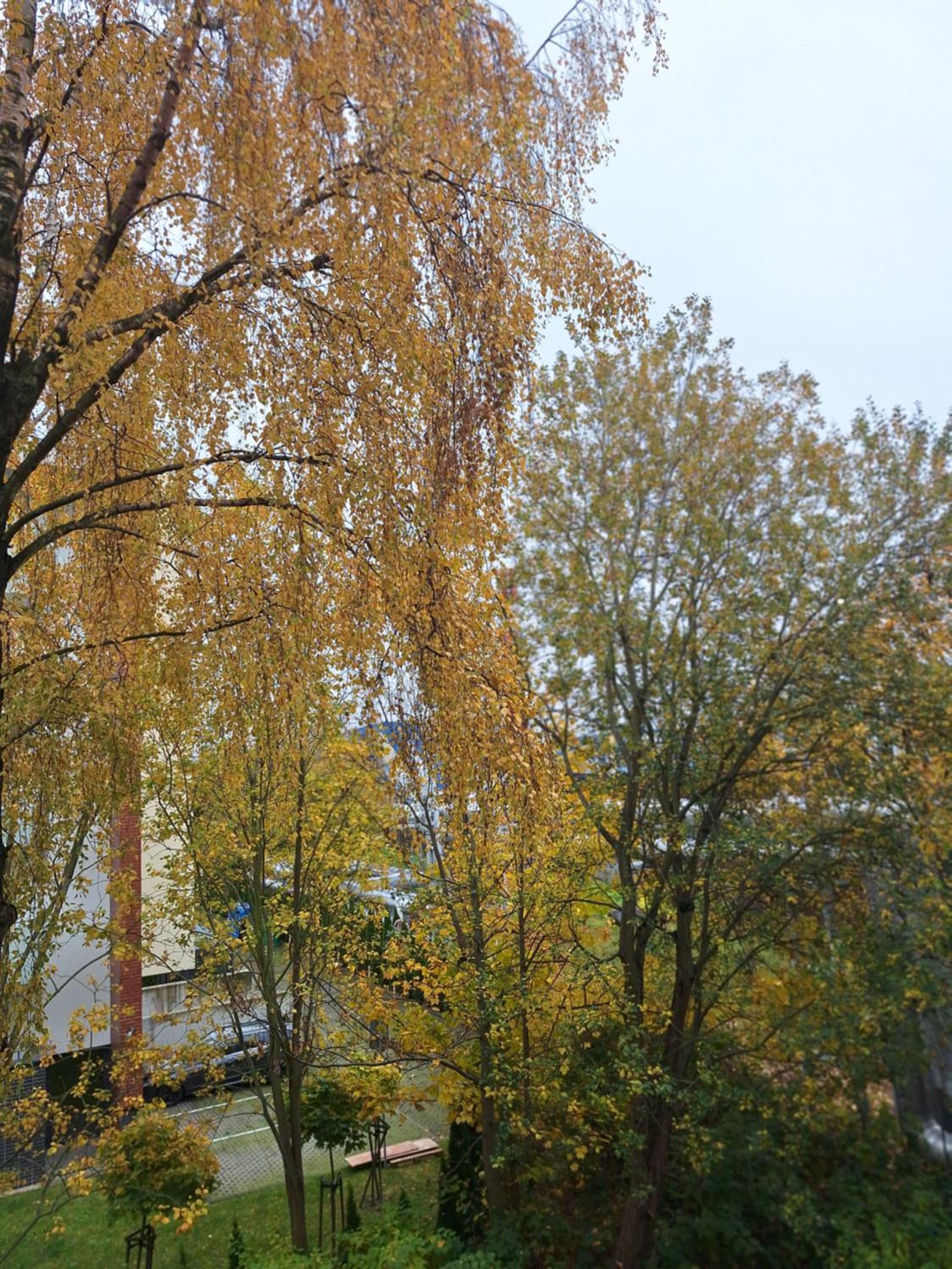 Photo 33