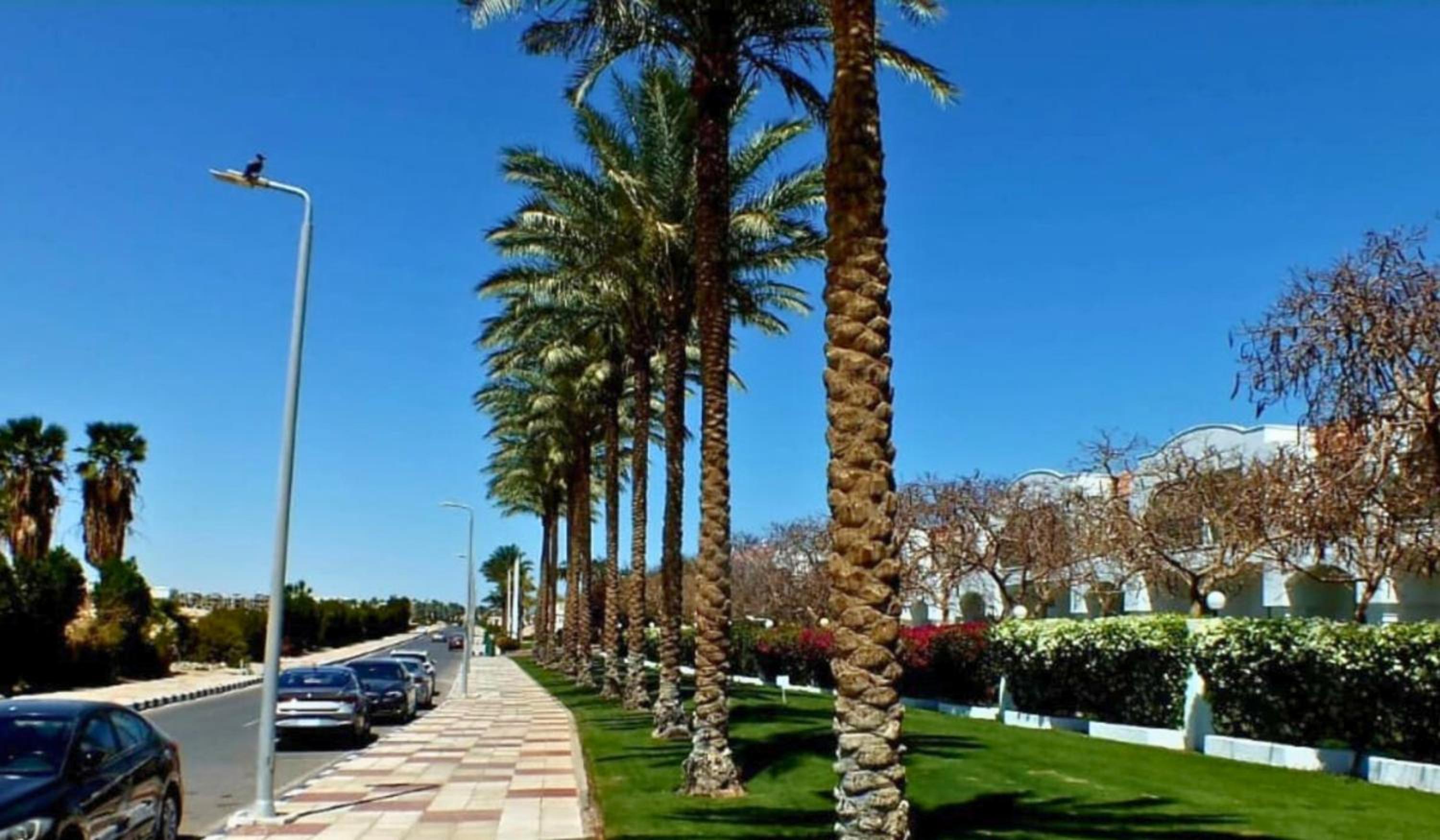 Sharm Hills Oasis-Pool View