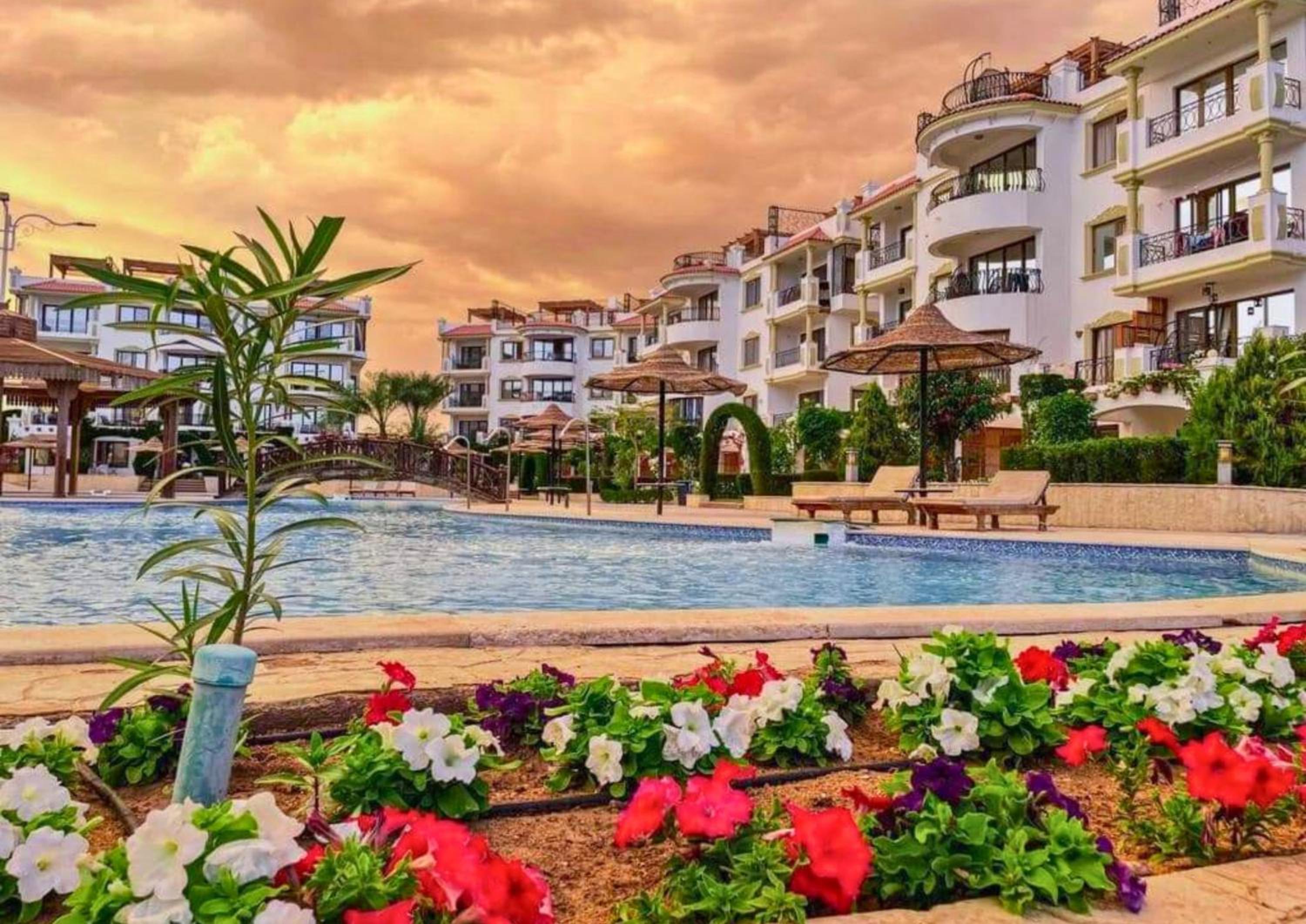 Sharm Hills Oasis-Pool View