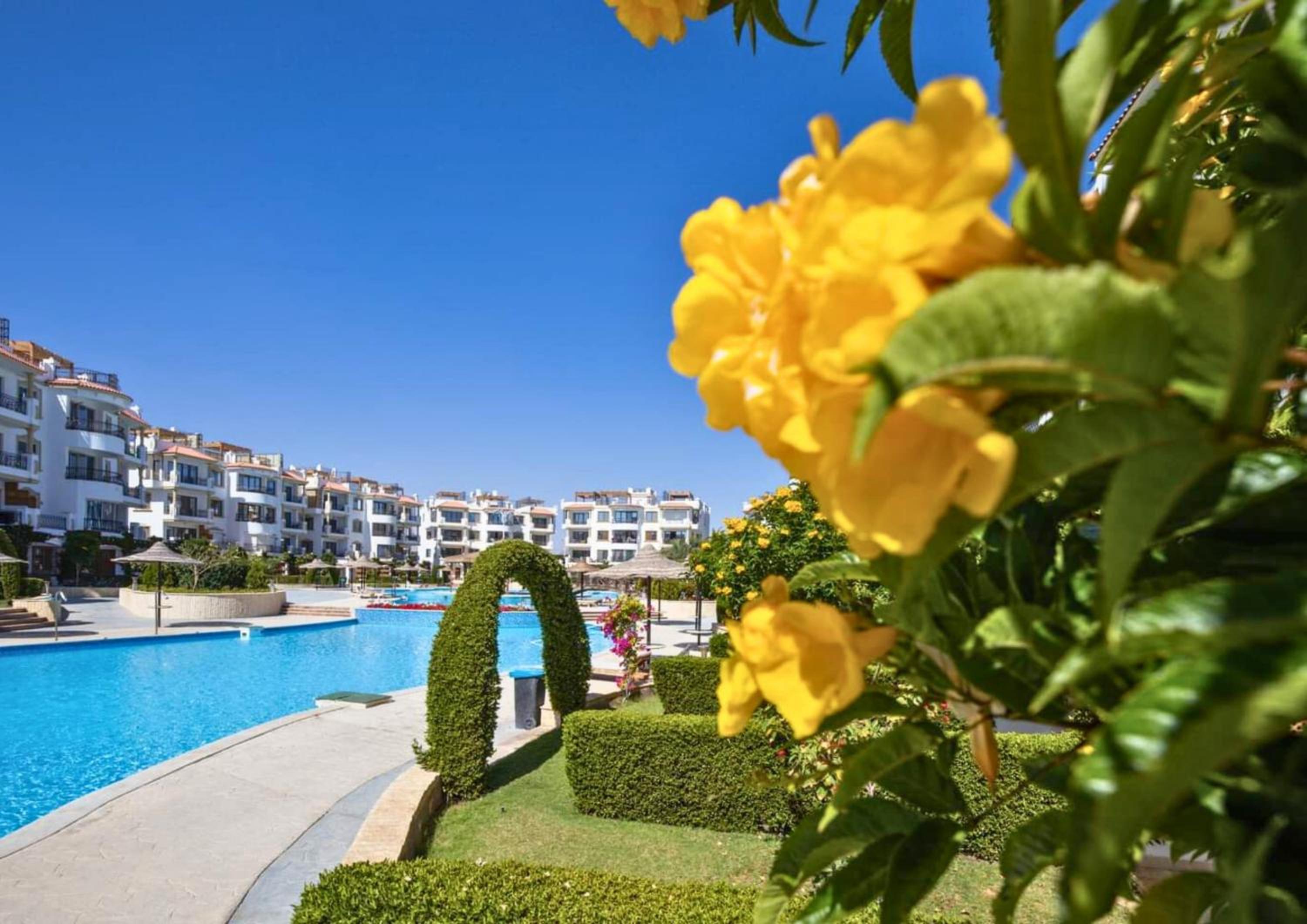 Sharm Hills Oasis-Pool View