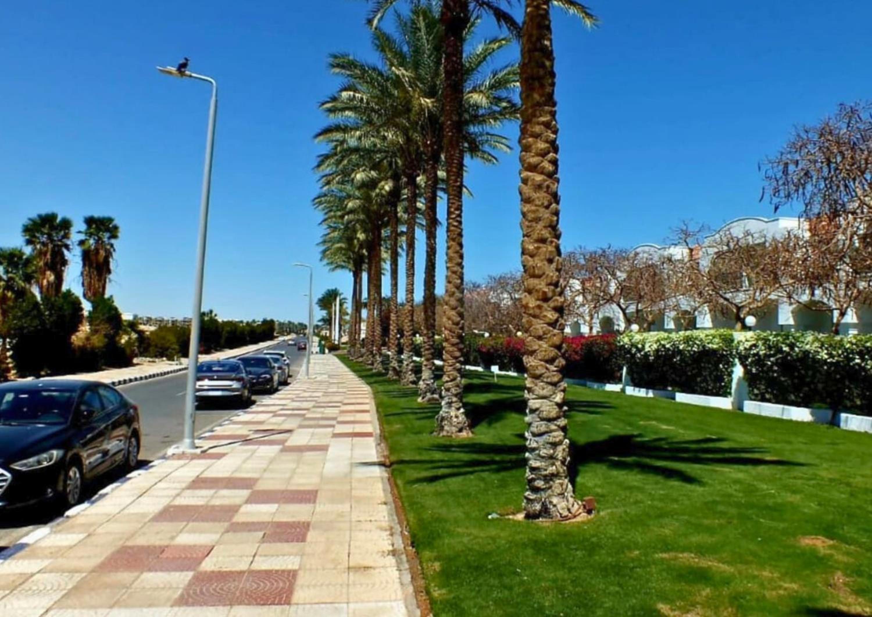 Sharm Hills Oasis-Pool View