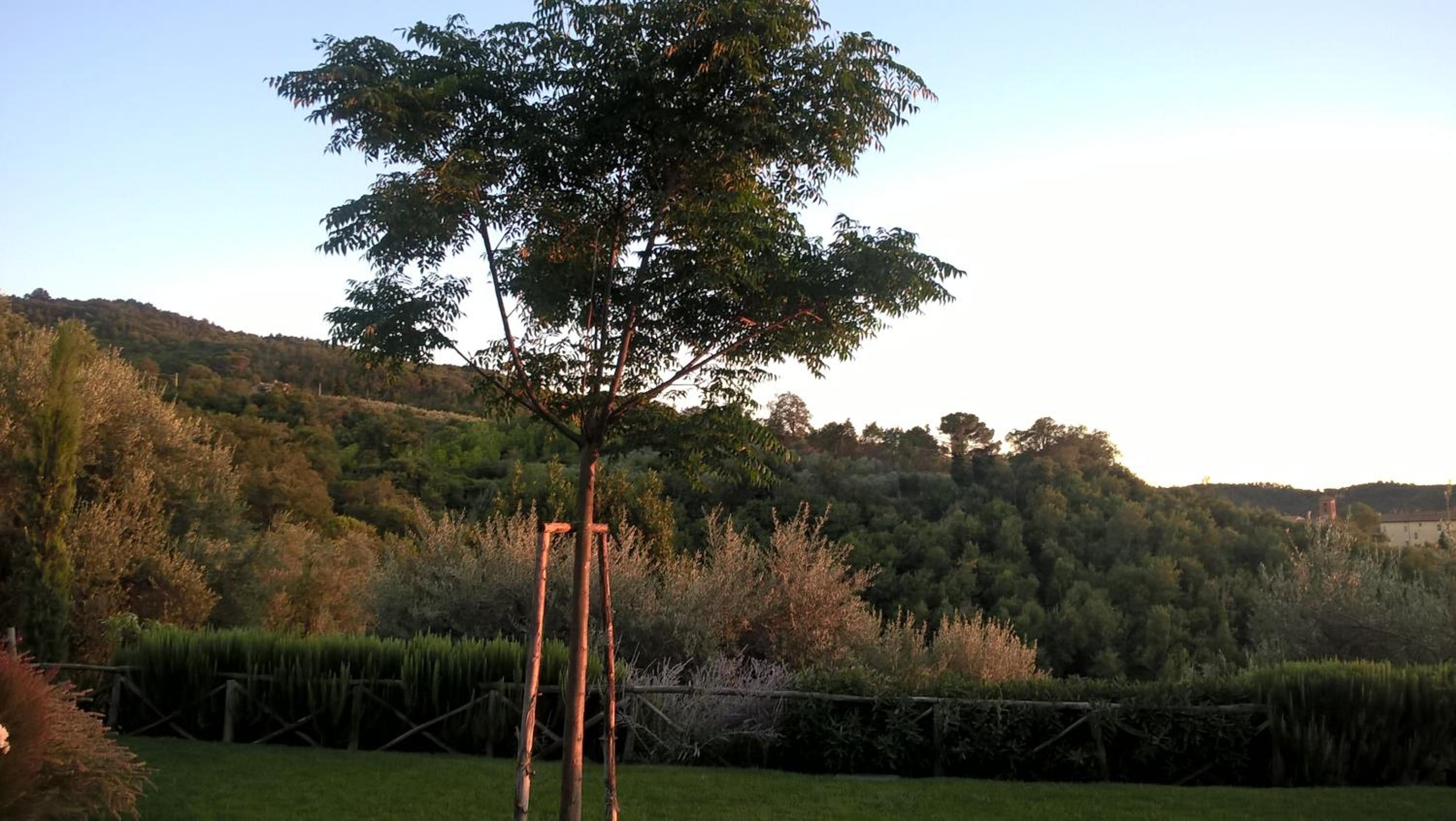Piccolo Relais Galletto di Marzo -Dimora per due con spa privata