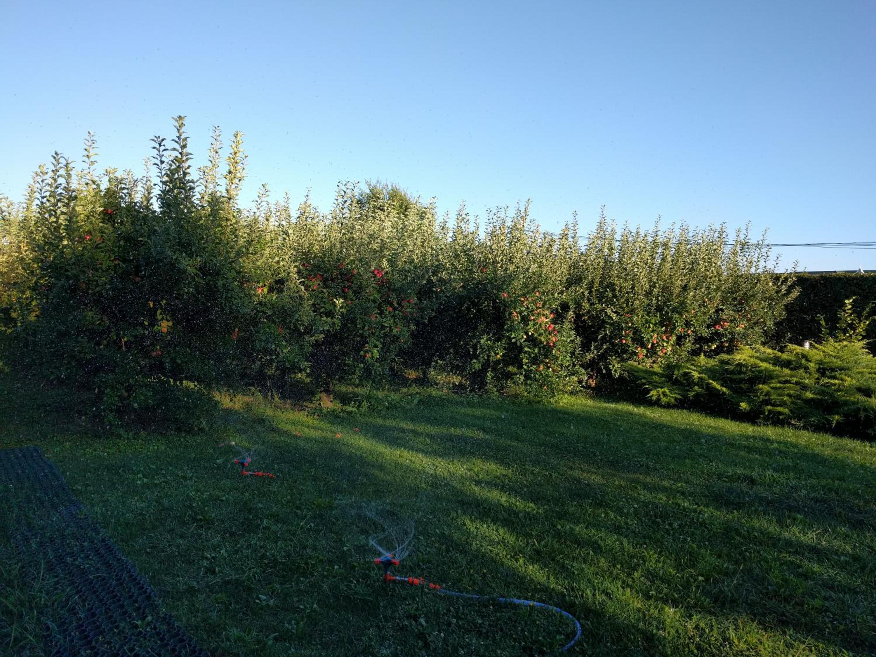 Photo 49