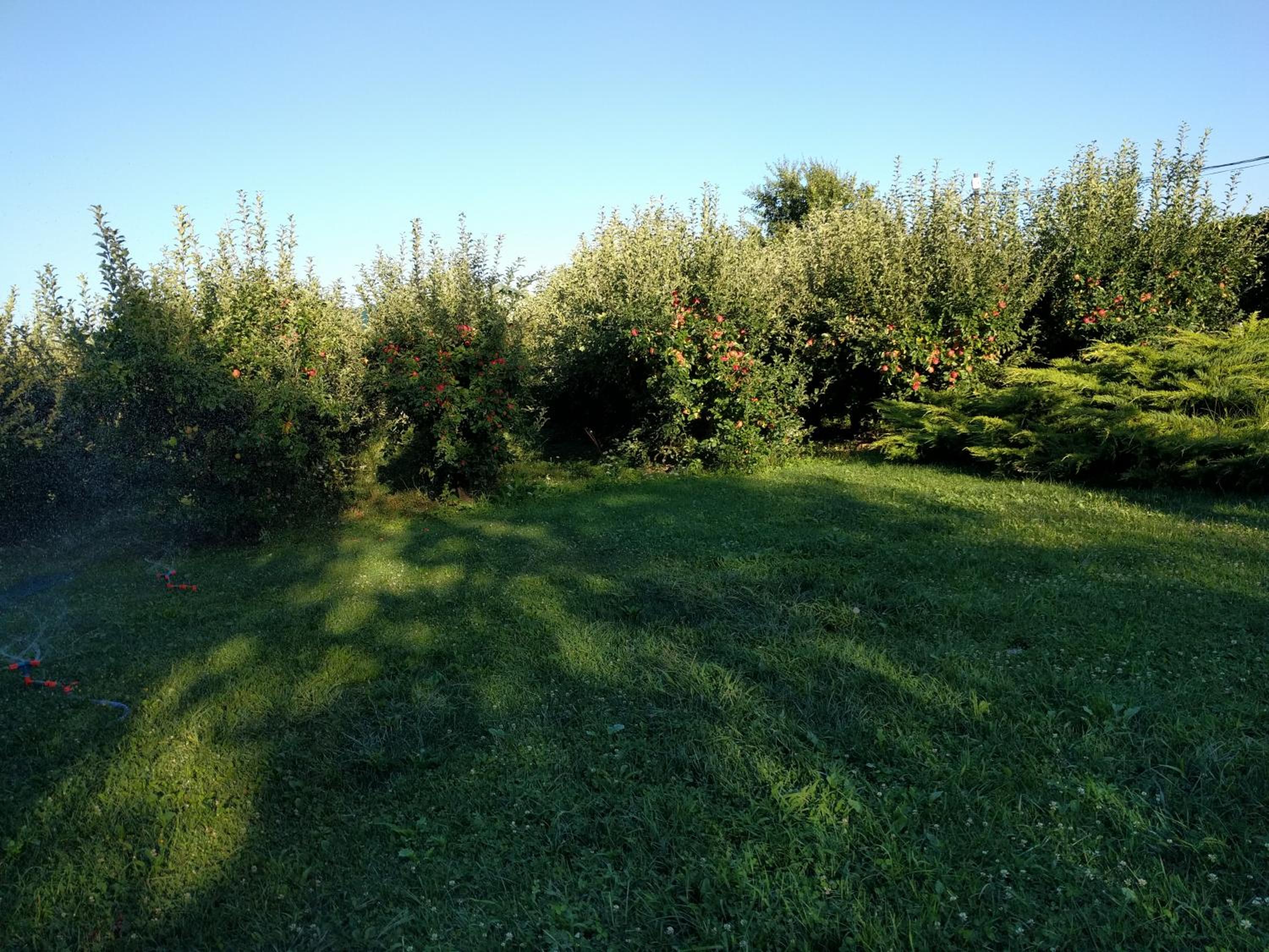 Photo 48