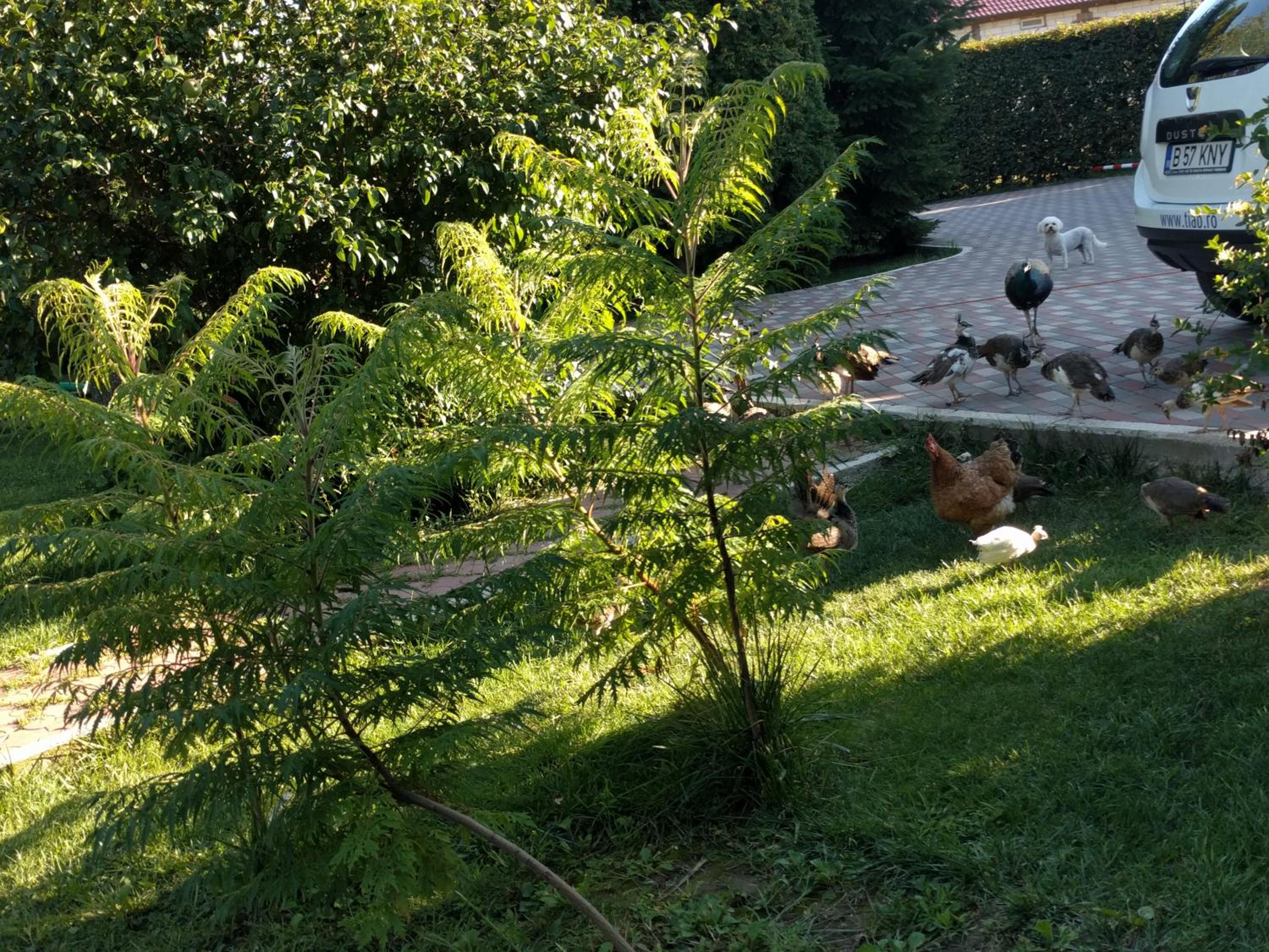 Photo 47