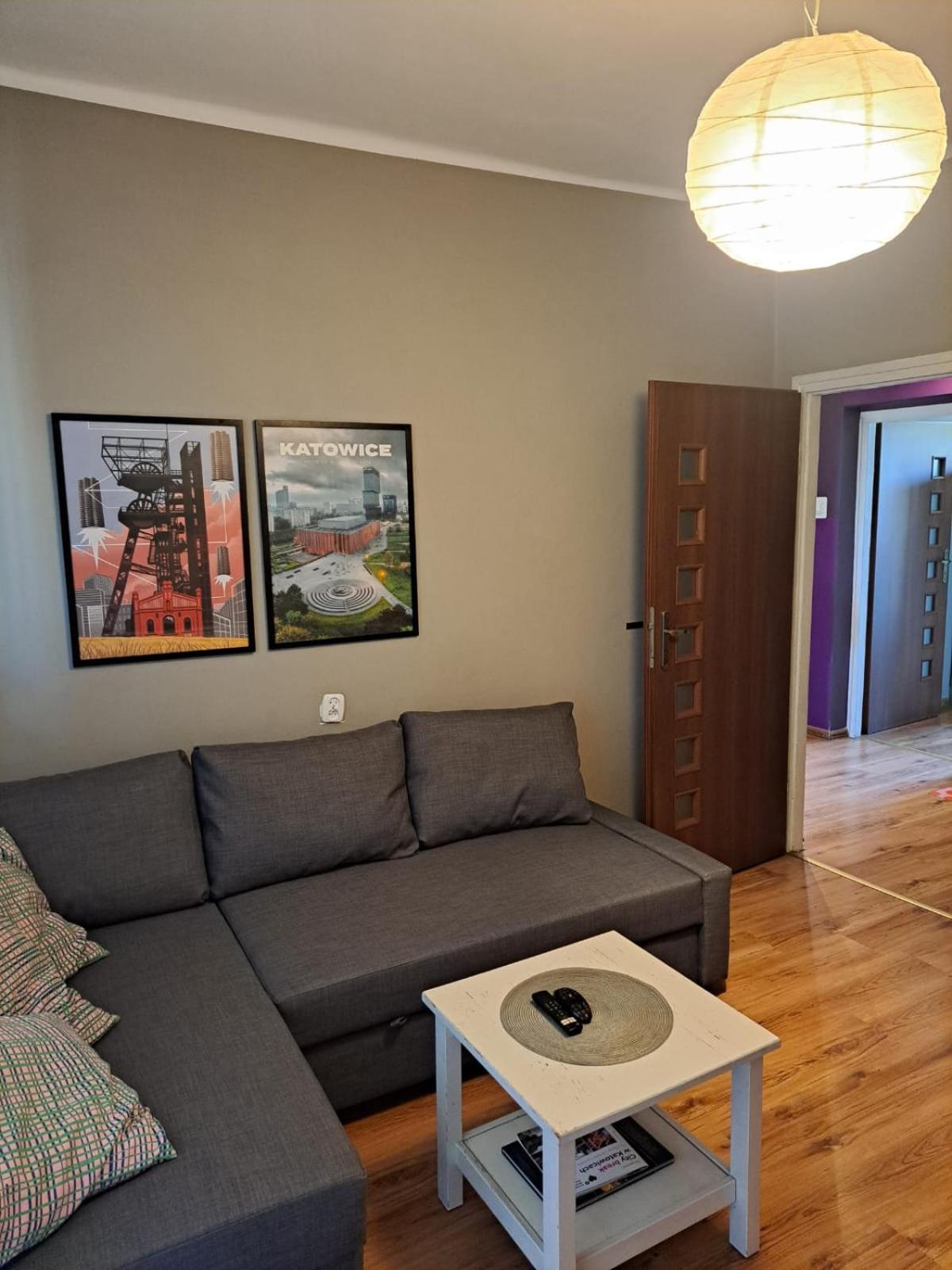 Comfortable Apartment close to Spodek, photo 12